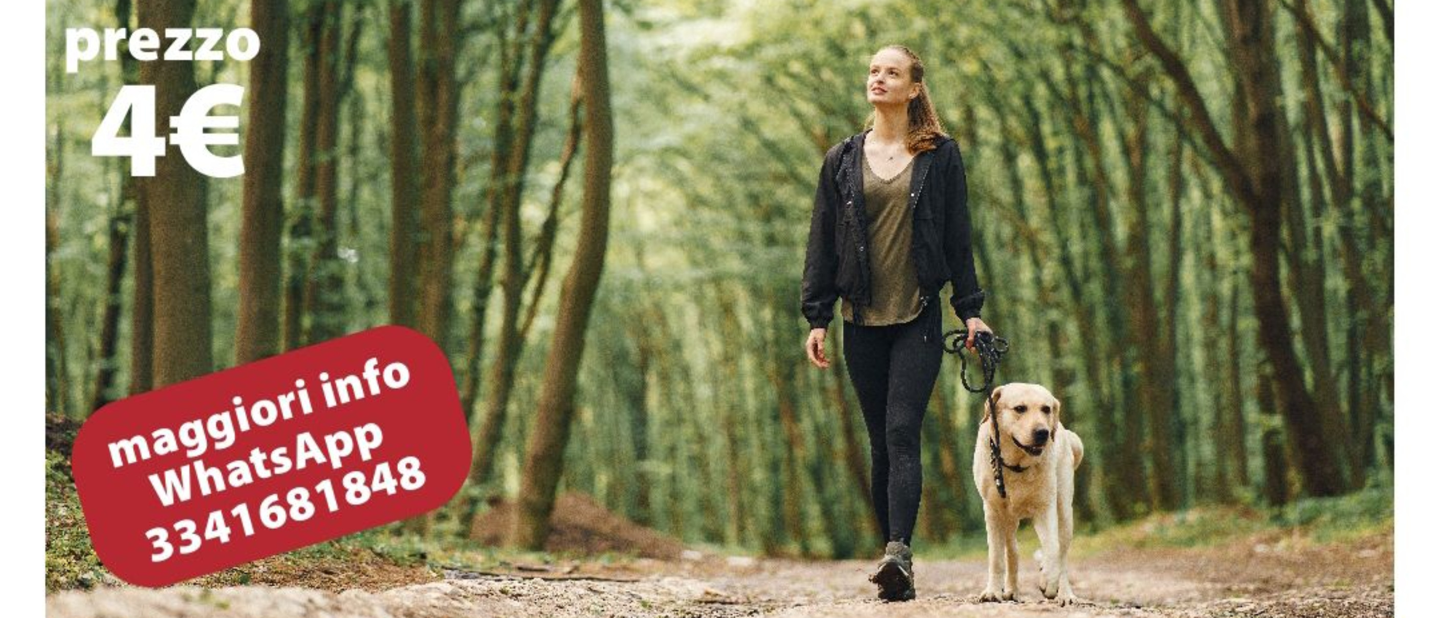 A spasso con cani e gatti