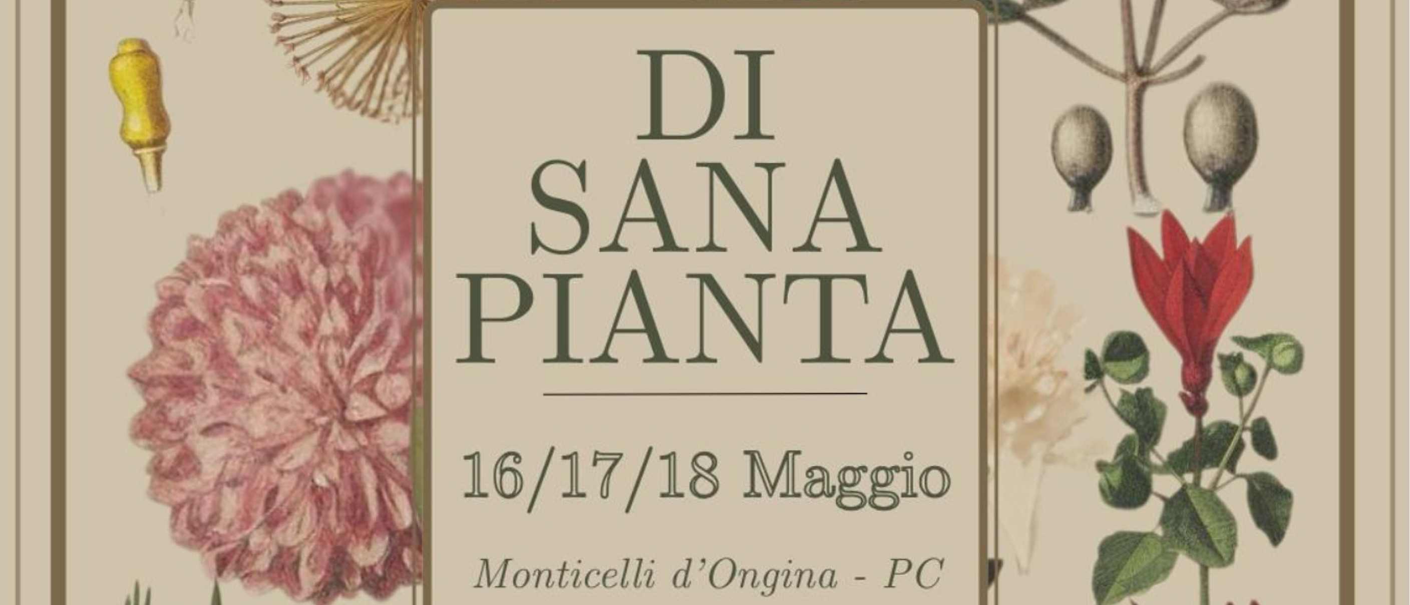 52° Fiera di Maggio - Di Sana Pianta