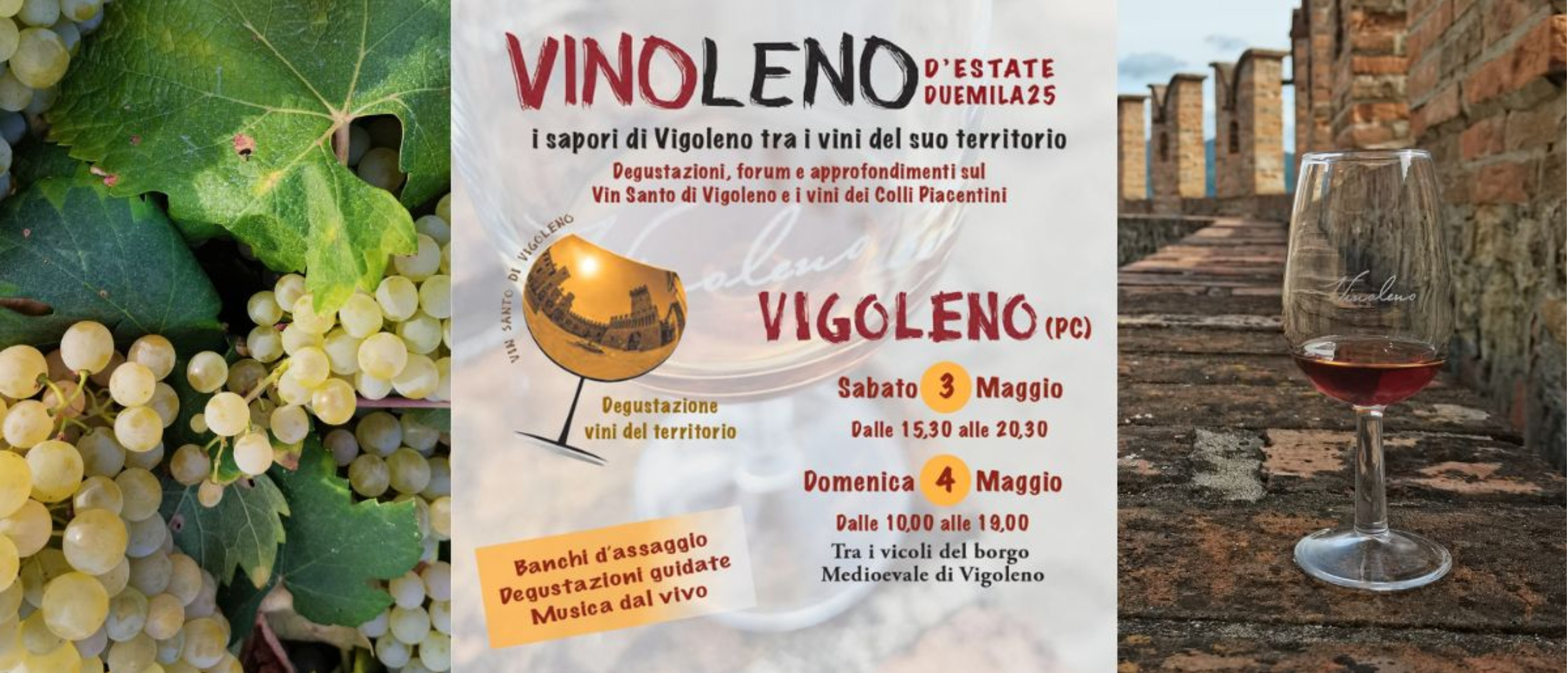 VINOLENO d'estate - 2025