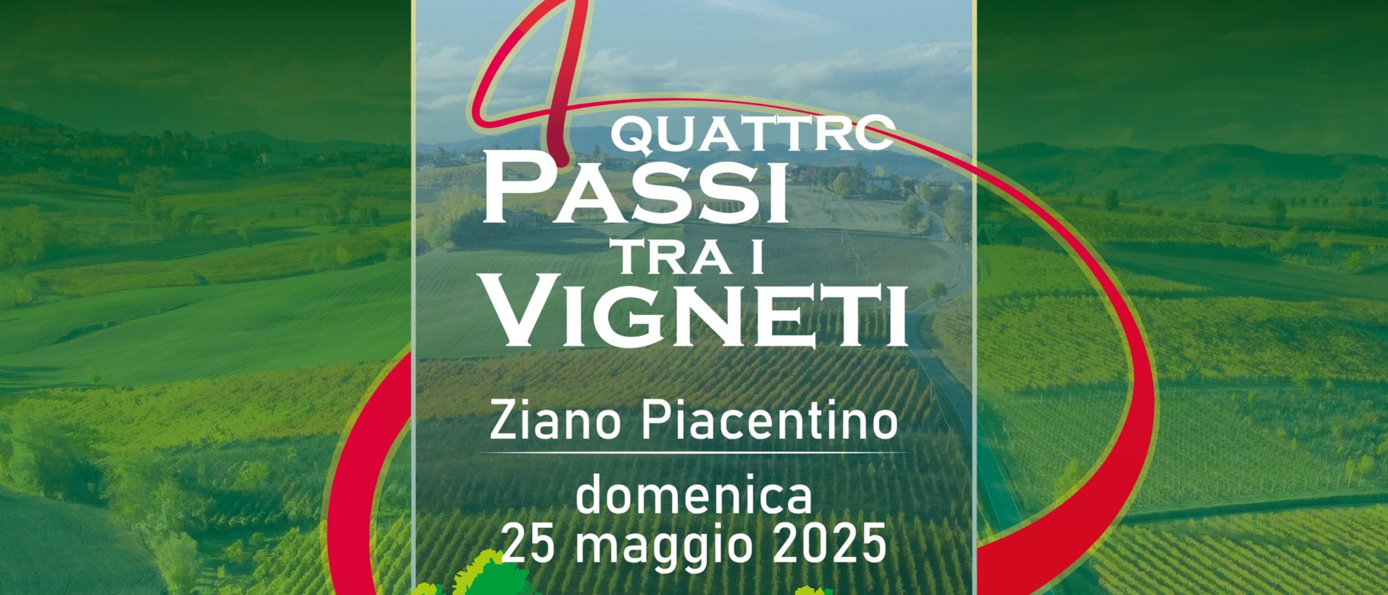 Quattro passi tra i vigneti 2025