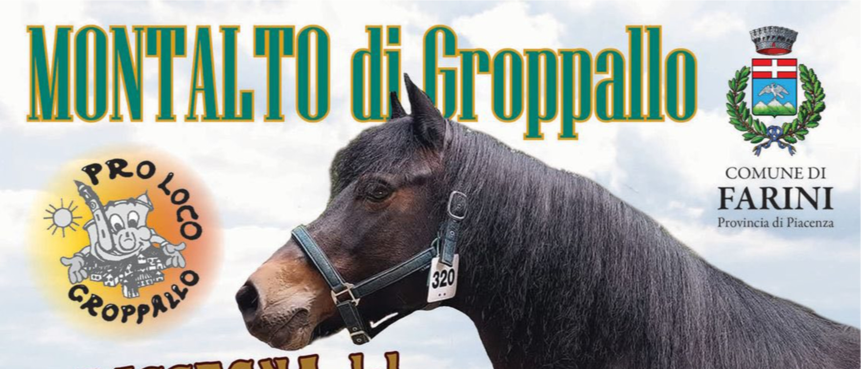 Rassegna del Cavallo Bardigiano e da Montagna