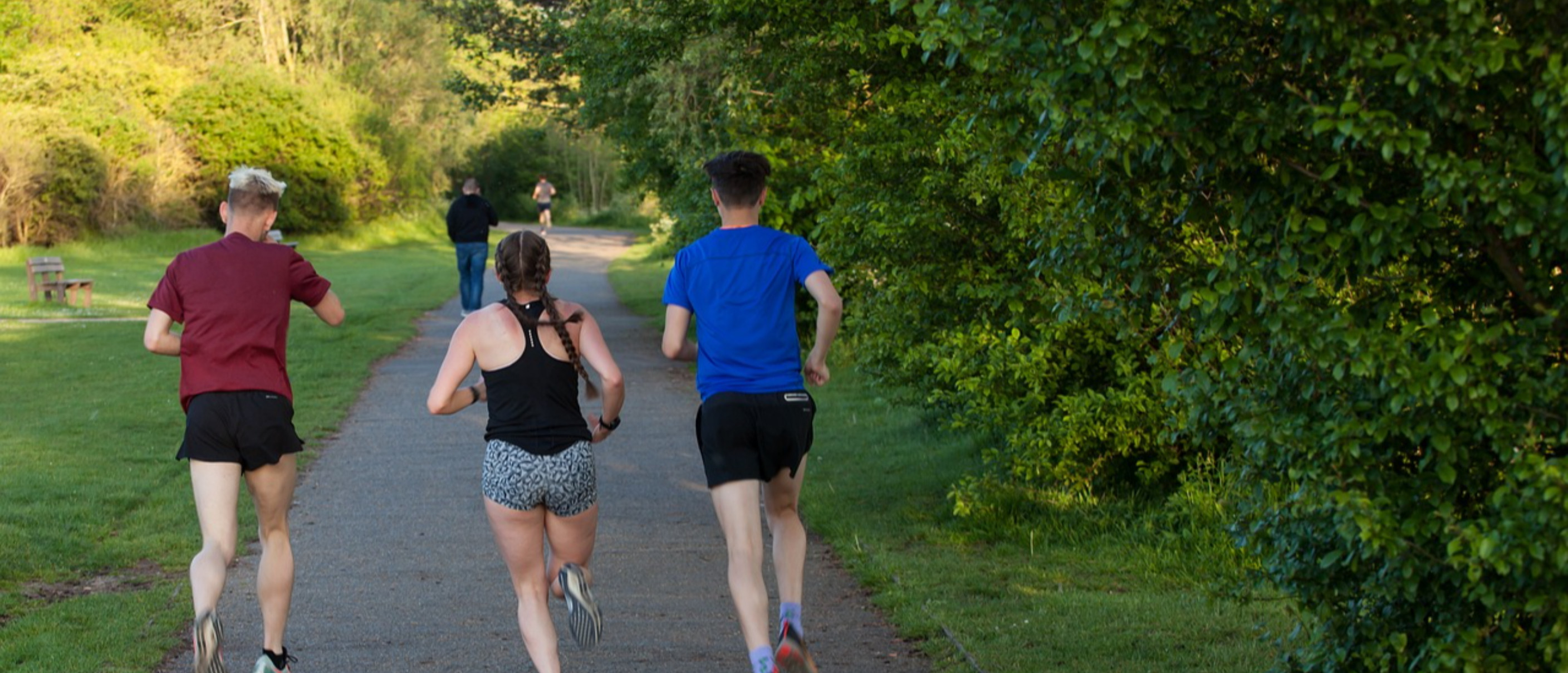 30° Camminata di Solidarietà "La Pellegrina"