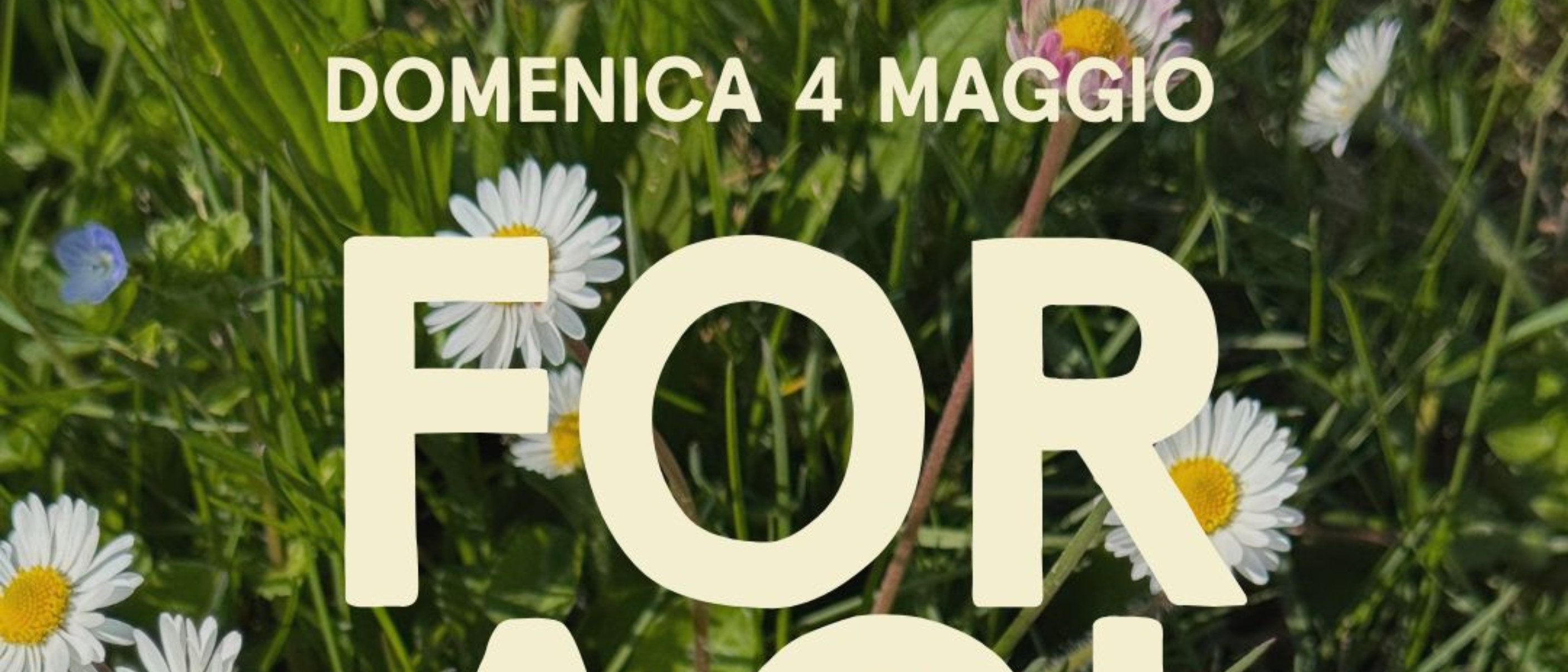Foraging per i colli