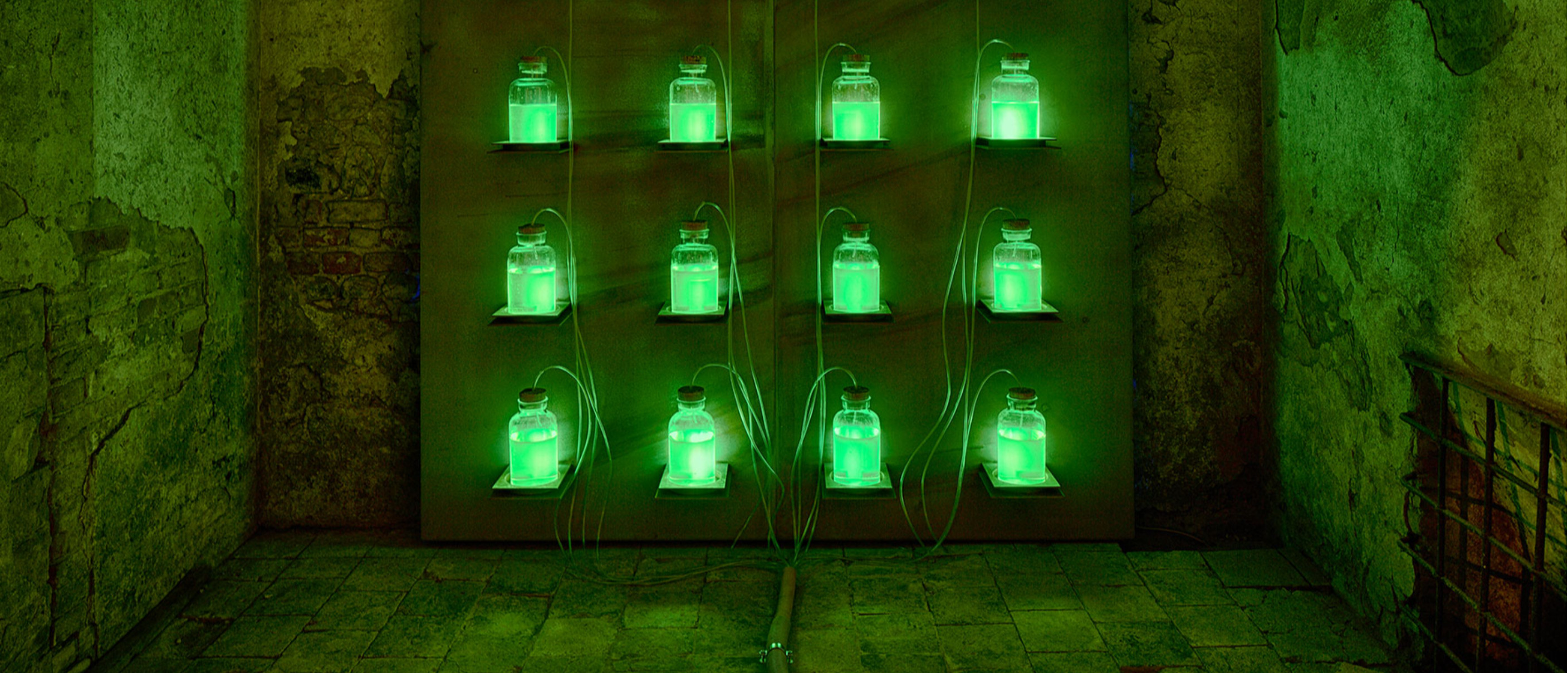 Giardini Aperti a Castelbosco