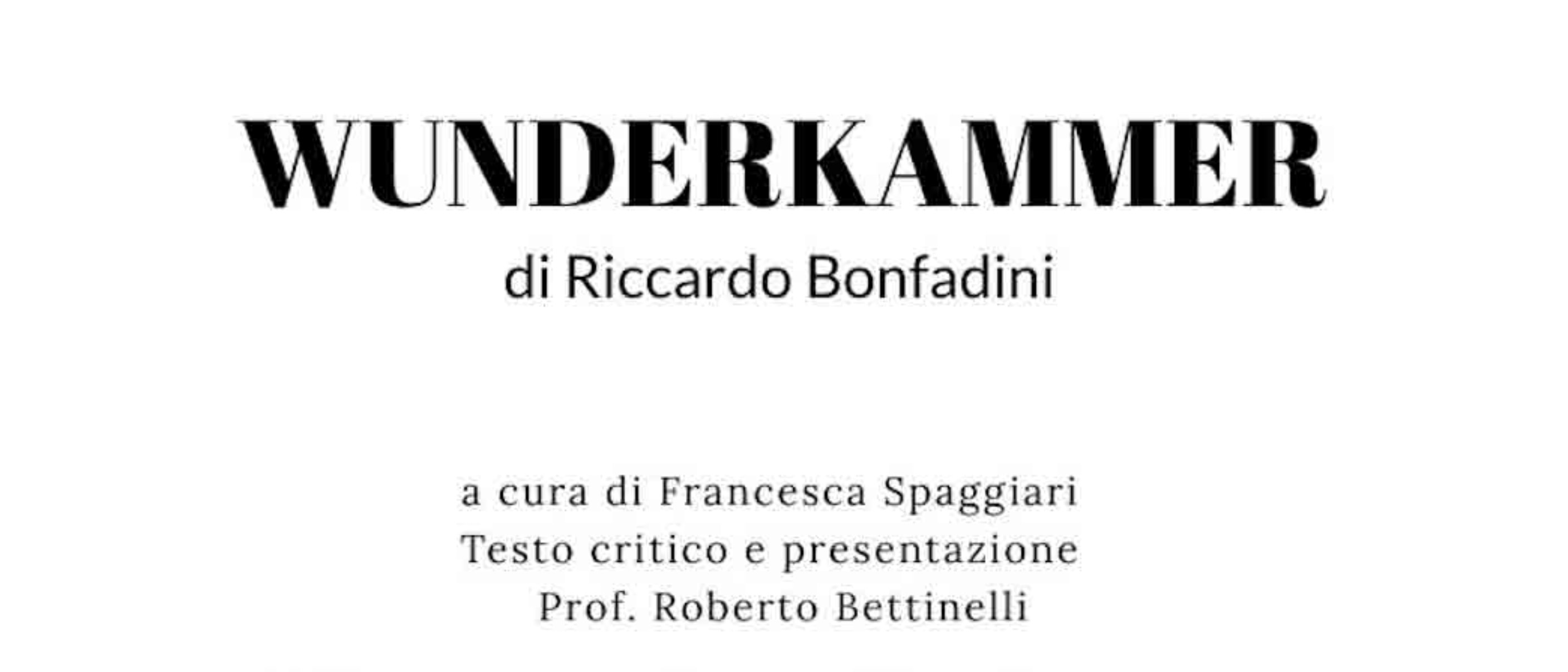 Wunderkammer - Riccardo Bonfadini