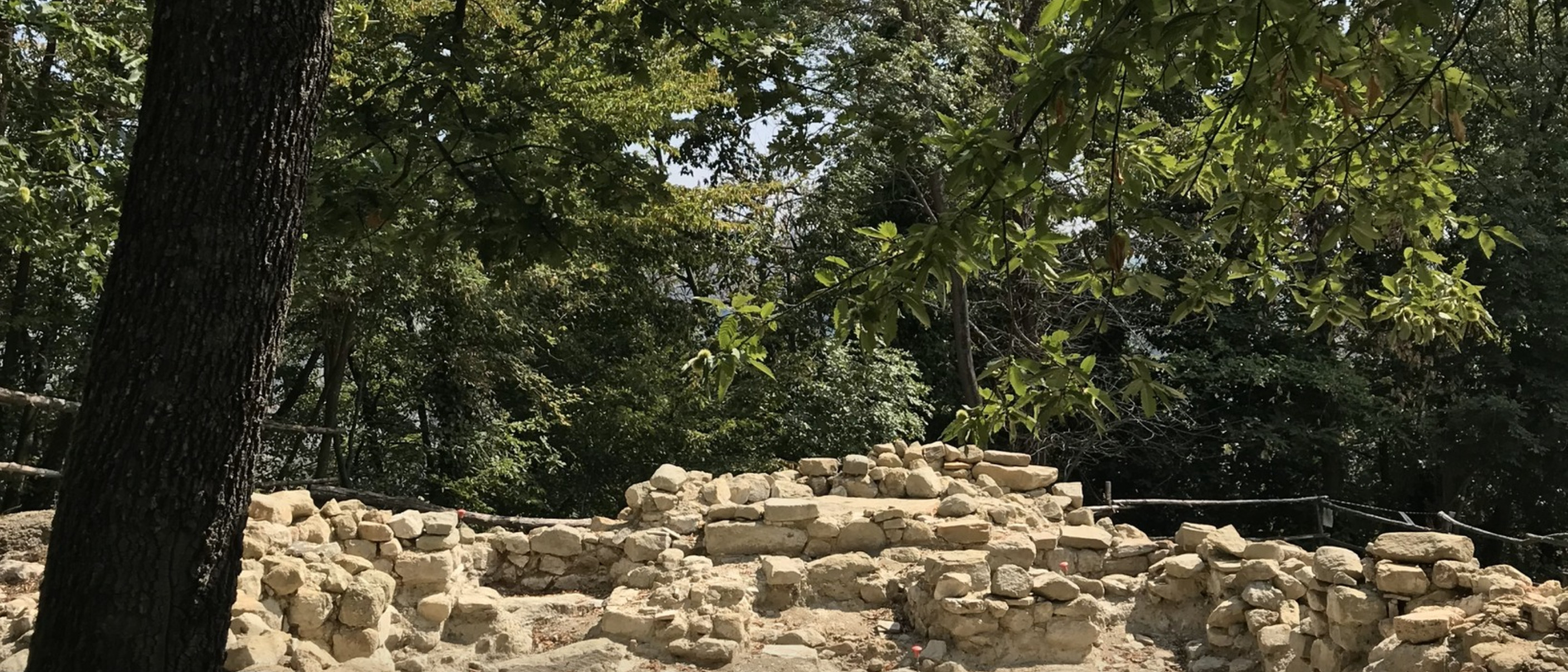 Escursione al tramonto e aperitivo nel bosco alla Piana di San Martino
