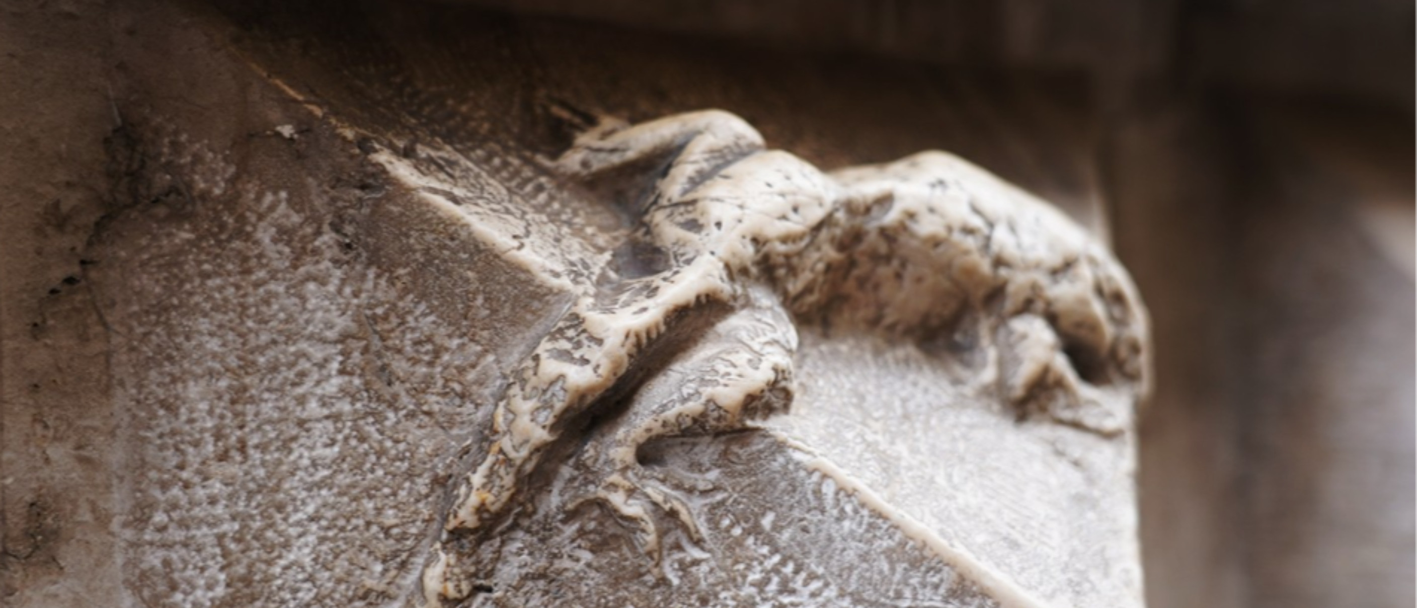 Visite Guidate IAT-R Piacenza - Giugno 2025