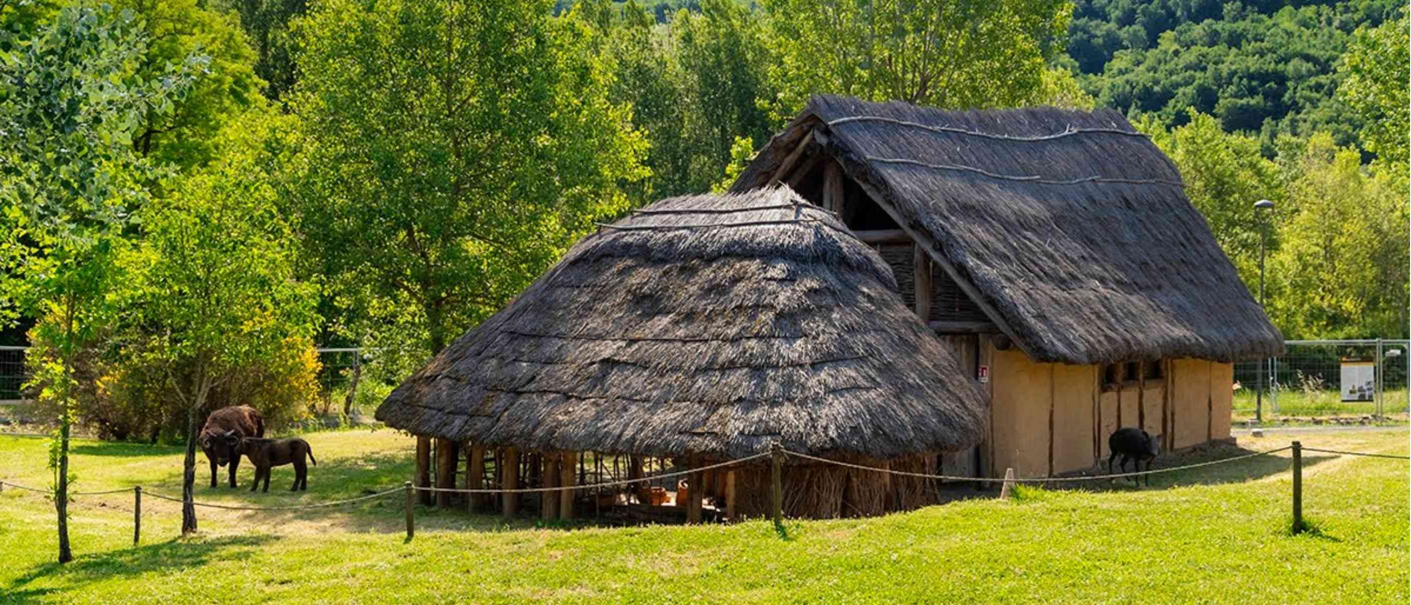 Giornate Europee dell’Archeologia 2025 al Parco Archeologico di Travo