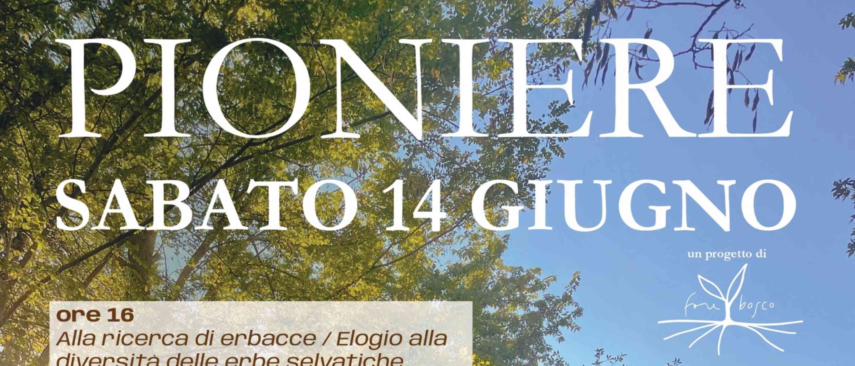 Pioniere - Natura, arte e sapori al Mulino del Lentino