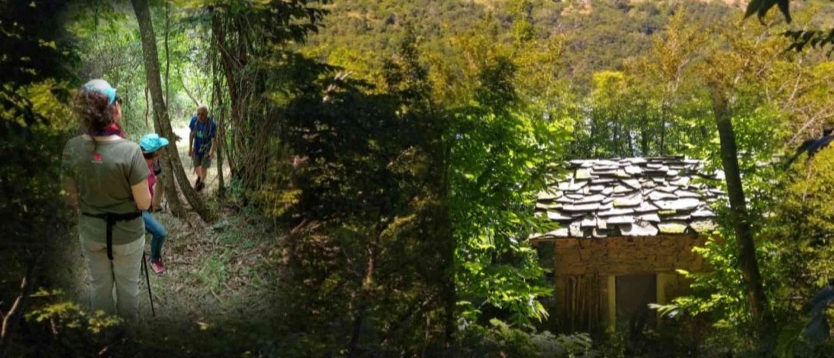 Escursione nelle Terre Alte