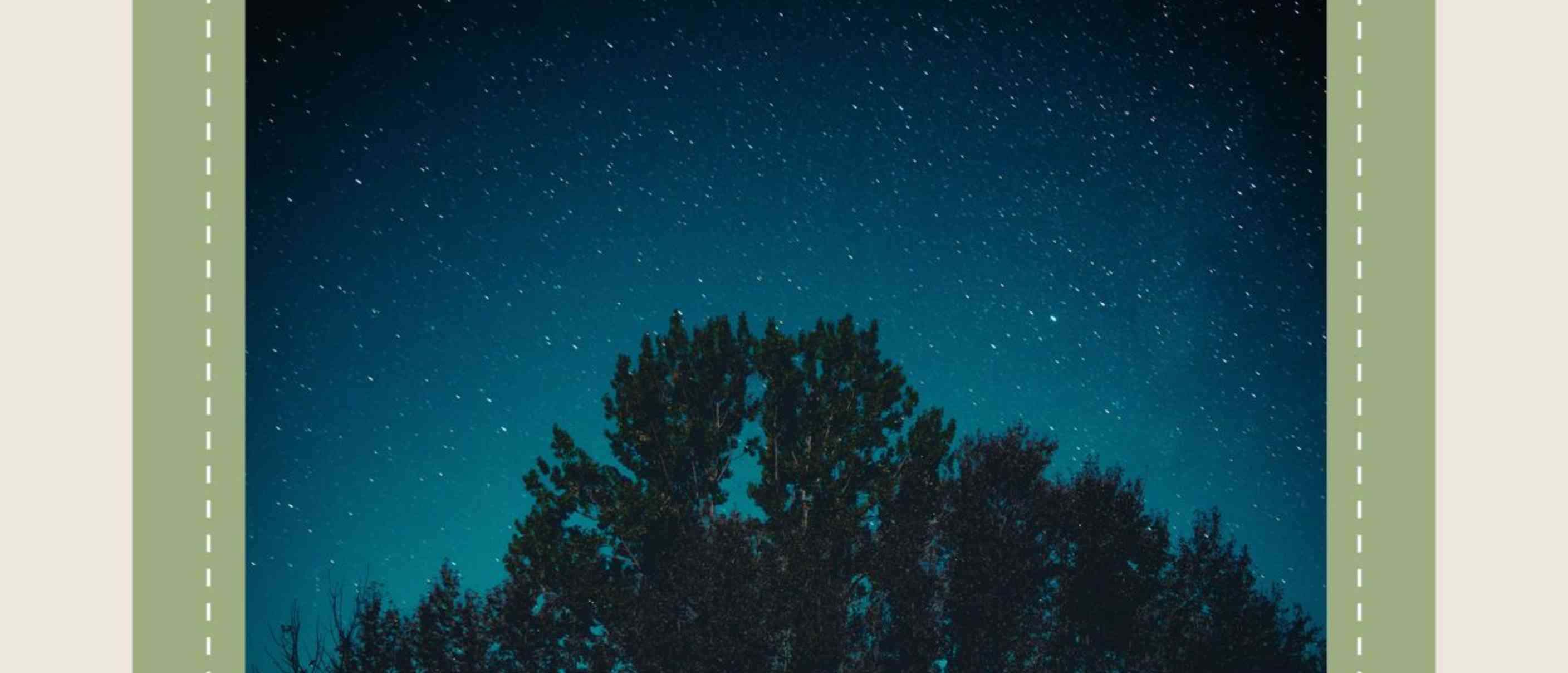 La Notte dei Miracoli – Forest Bathing delle stelle