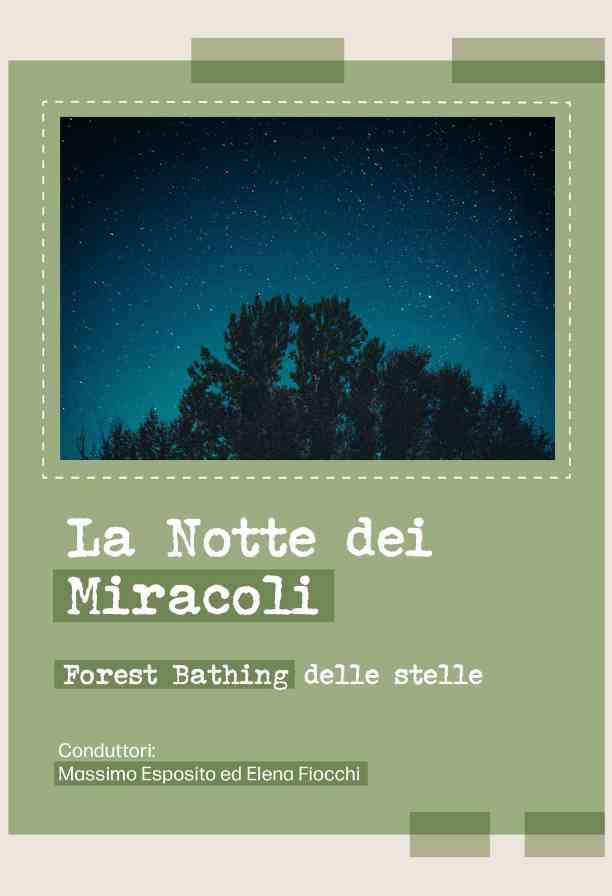 La Notte dei Miracoli – Forest Bathing delle stelle