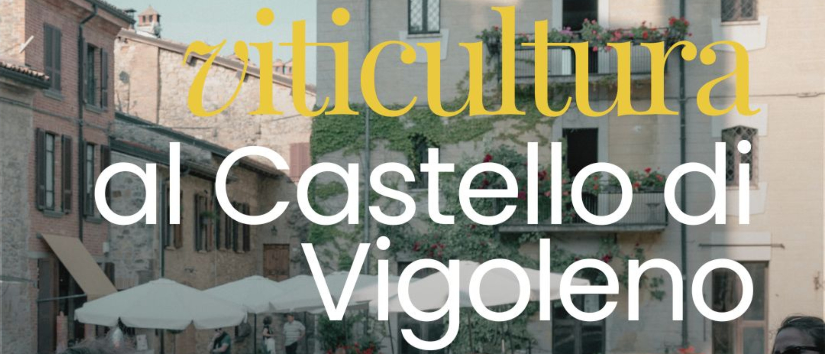 Viticultura al Castello di Vigoleno
