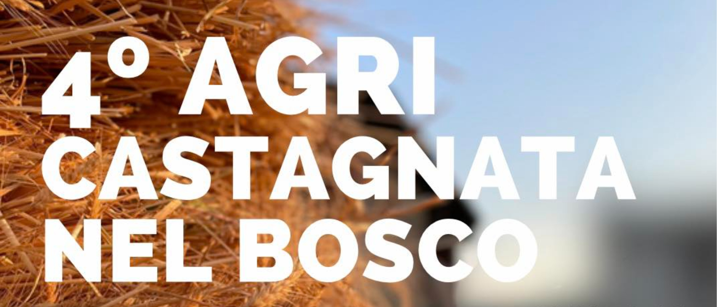 Agri Castagnata nel Bosco