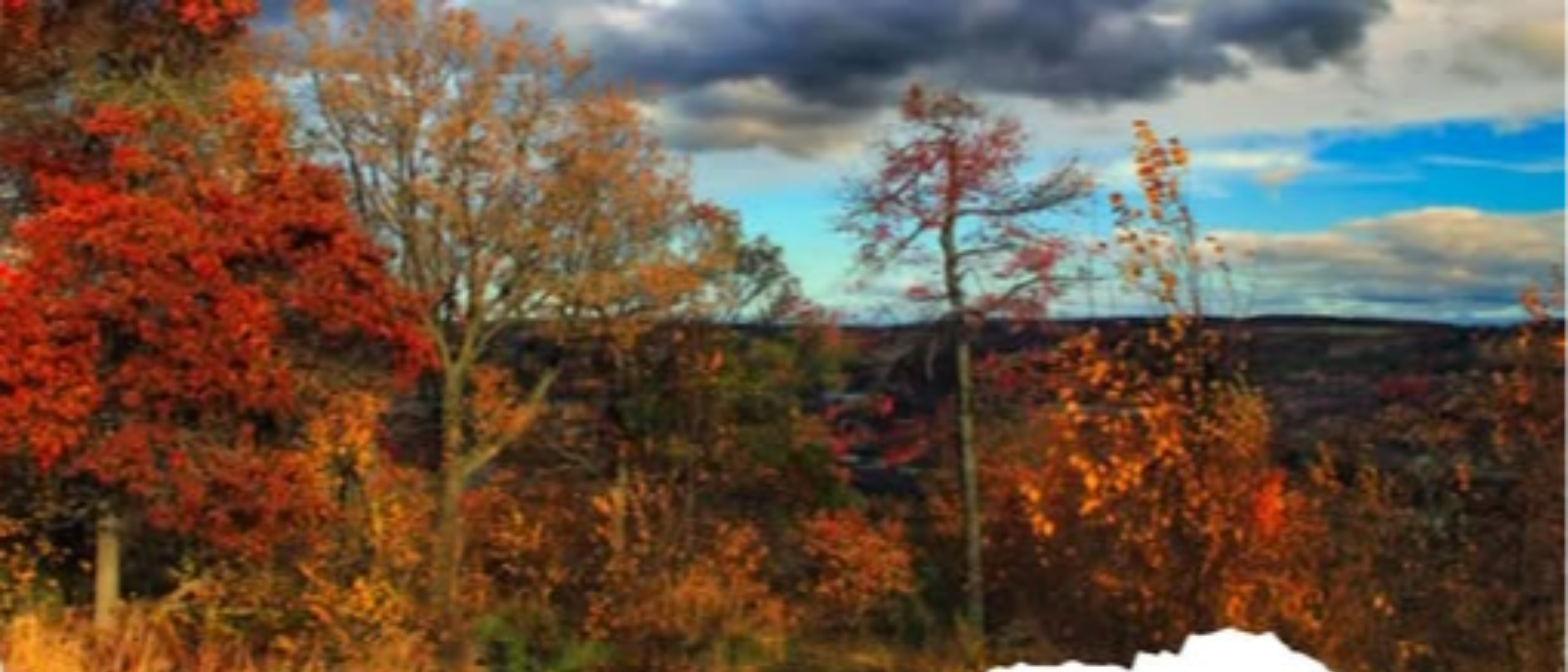 Foliage e sapori d'autunno