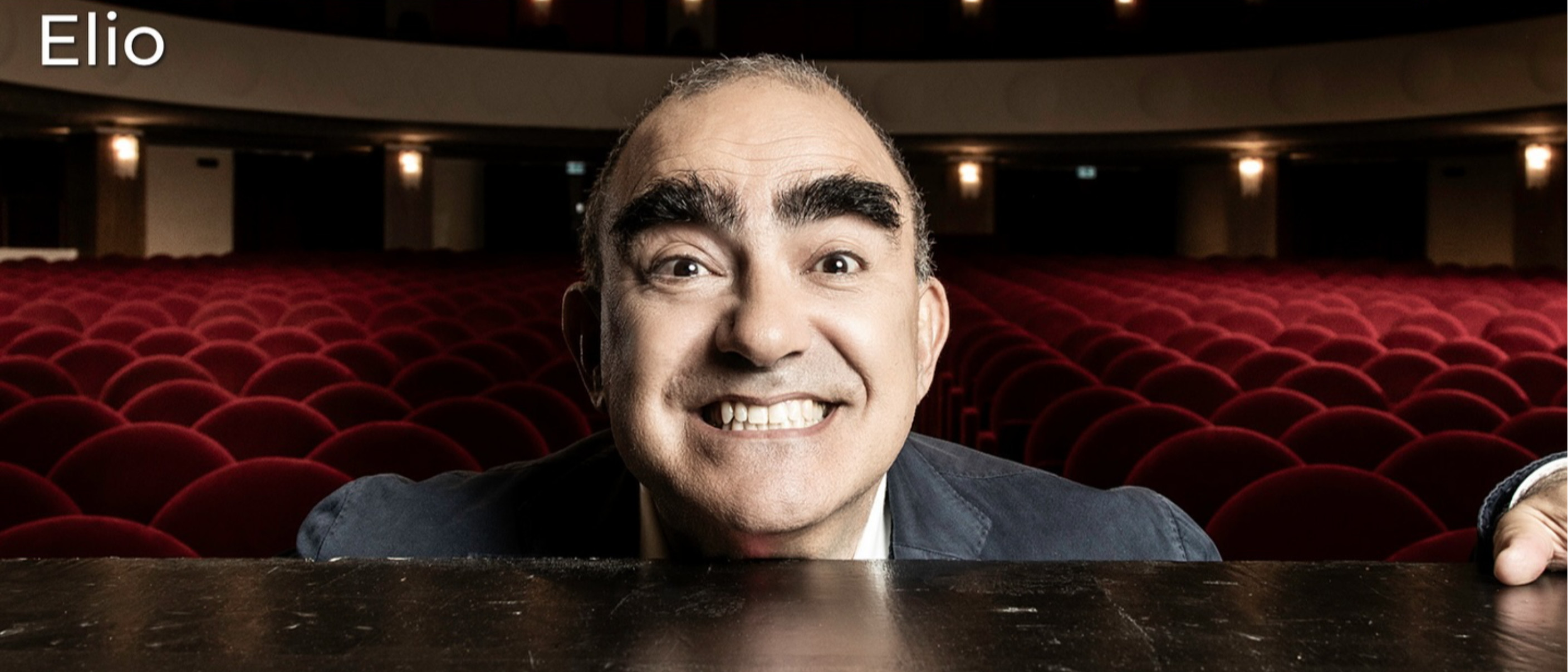 Quando un musicista ride - Elio