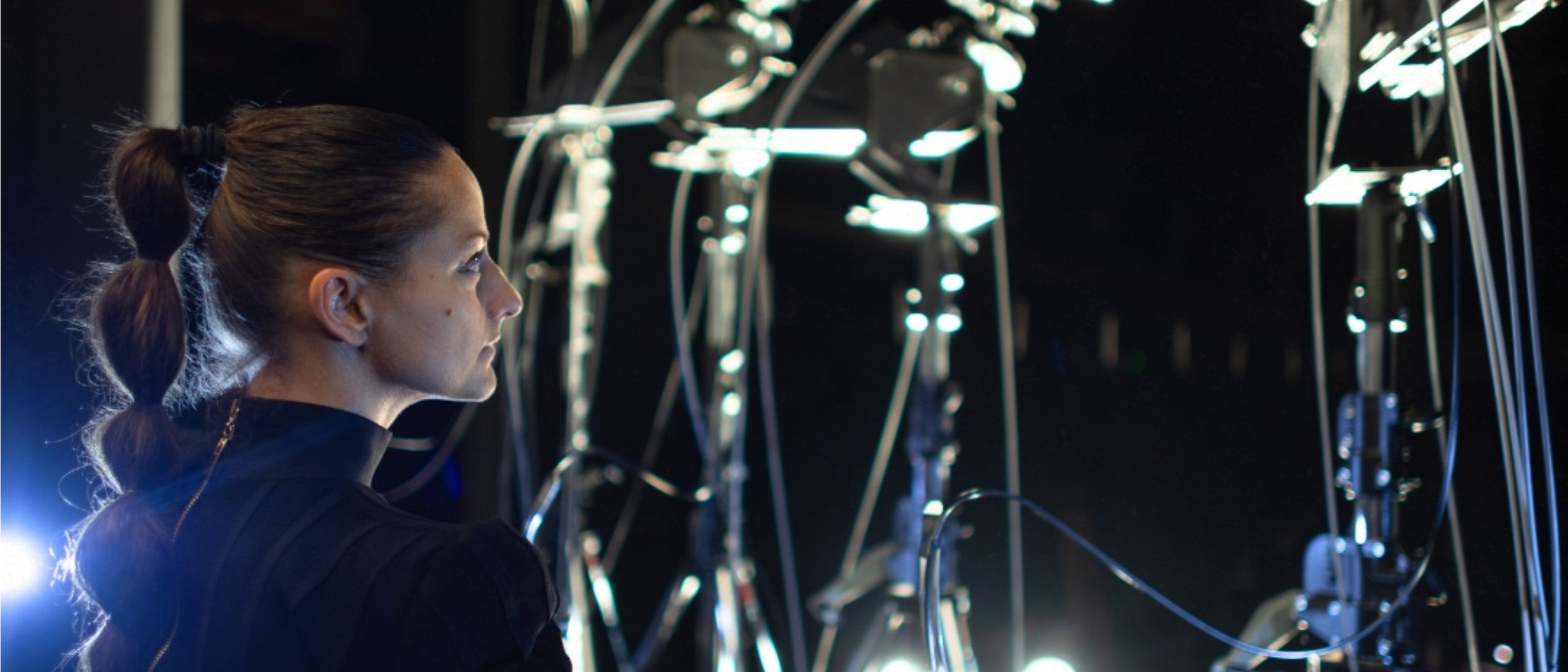 Corvidae - Sguardi di specie