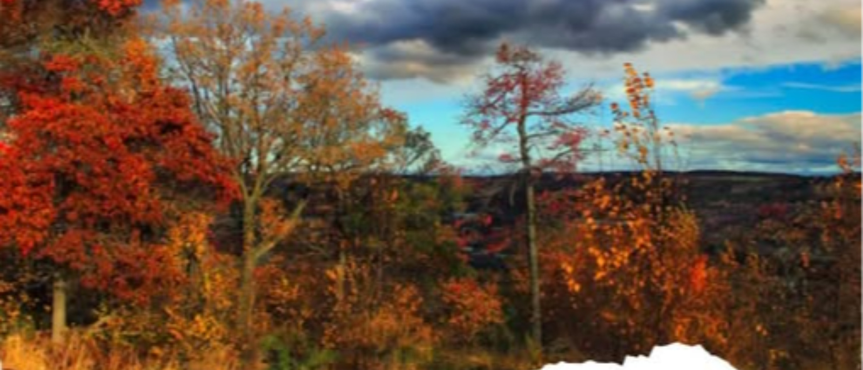 Foliage e sapori d'autunno