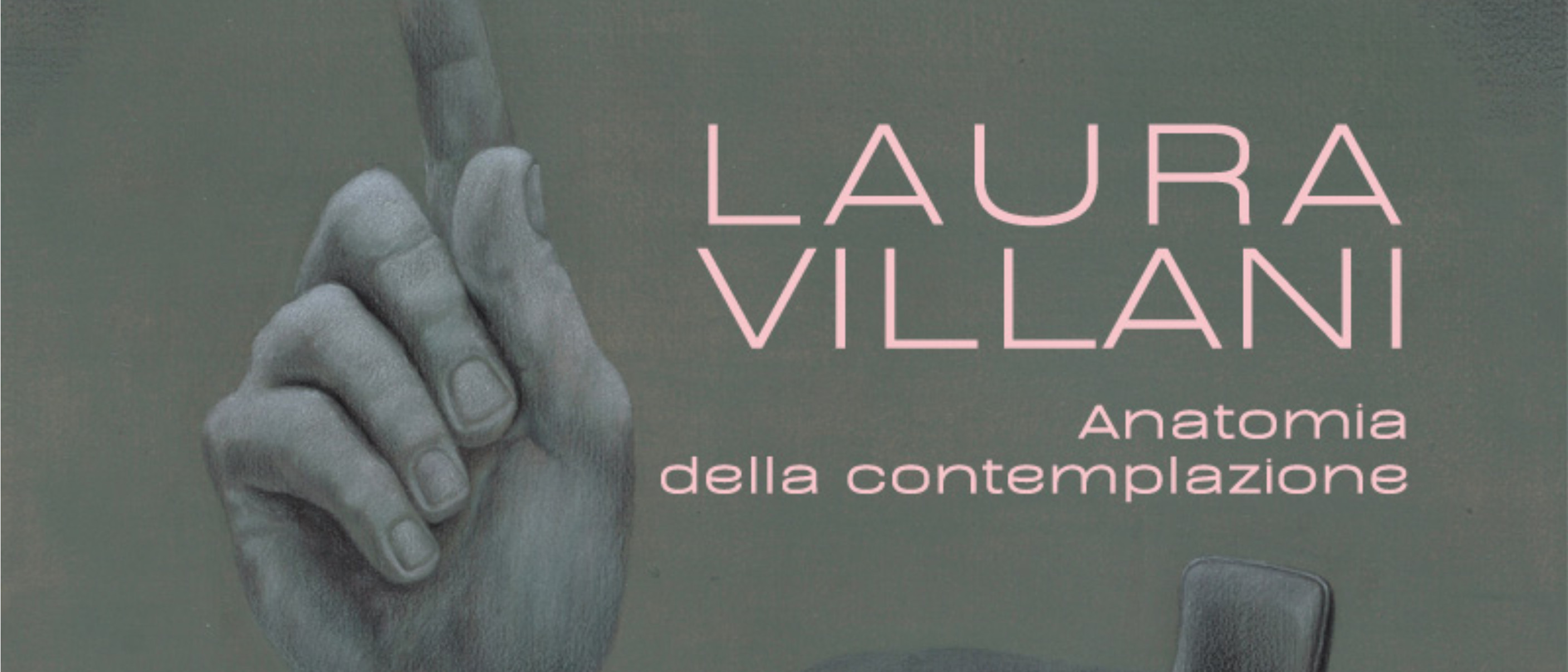 Laura Villani - Anatomia della contemplazione