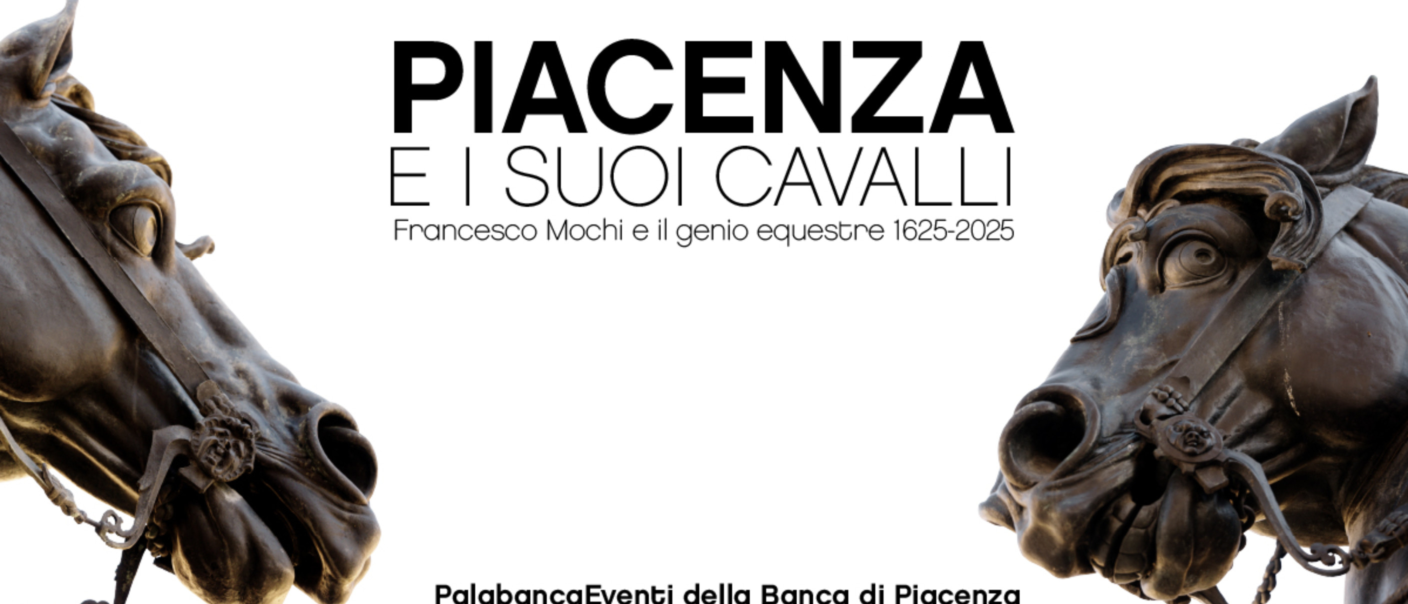 Piacenza e i suoi Cavalli