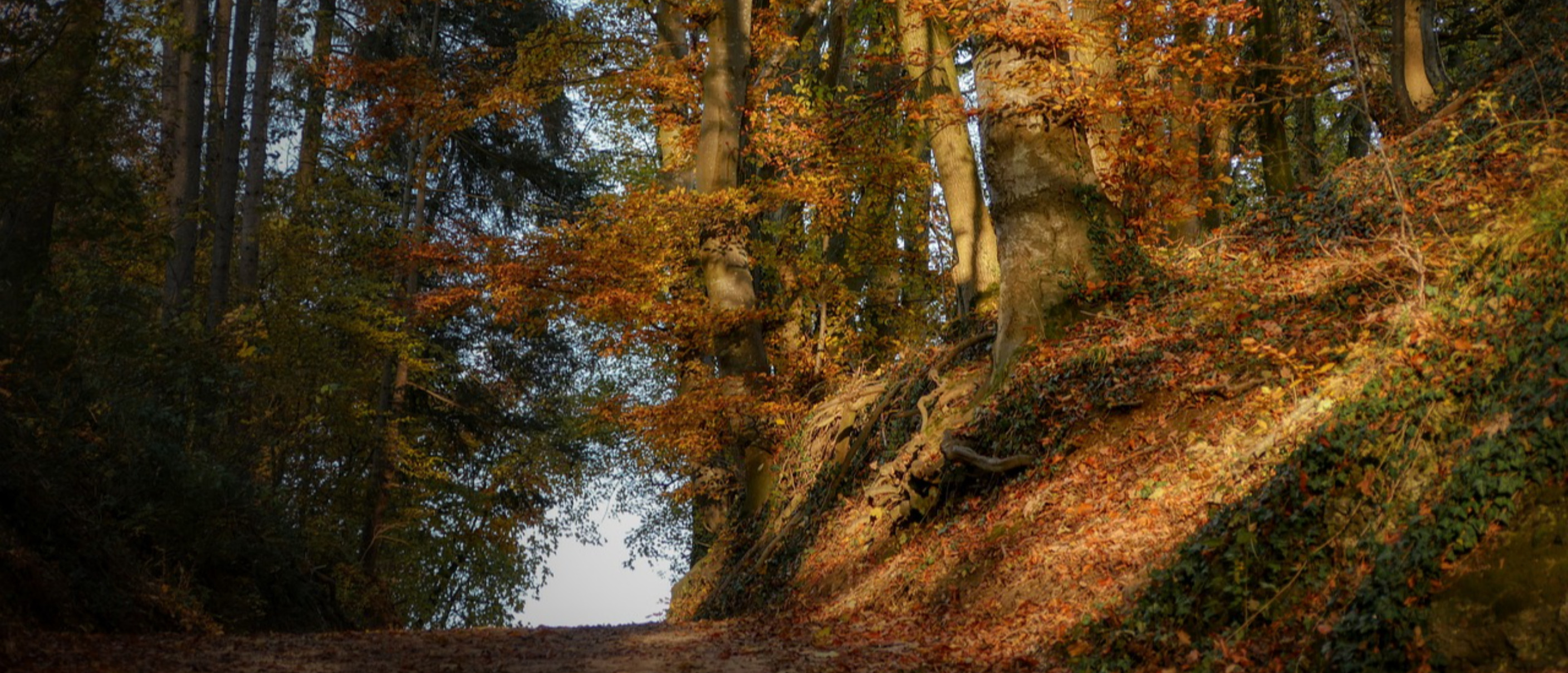 Escursione il Soldato poeta
