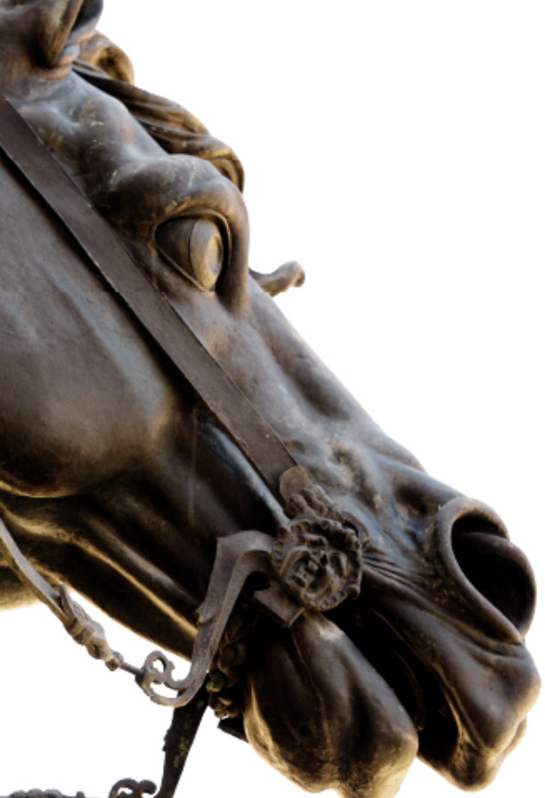 Piacenza e i suoi Cavalli