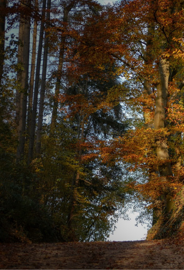 Escursione il Soldato poeta