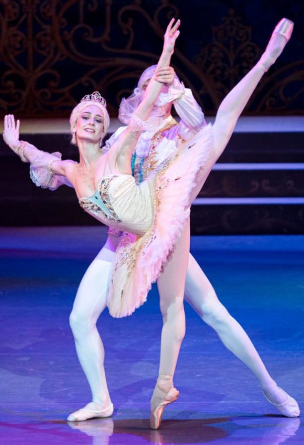 La bella addormentata