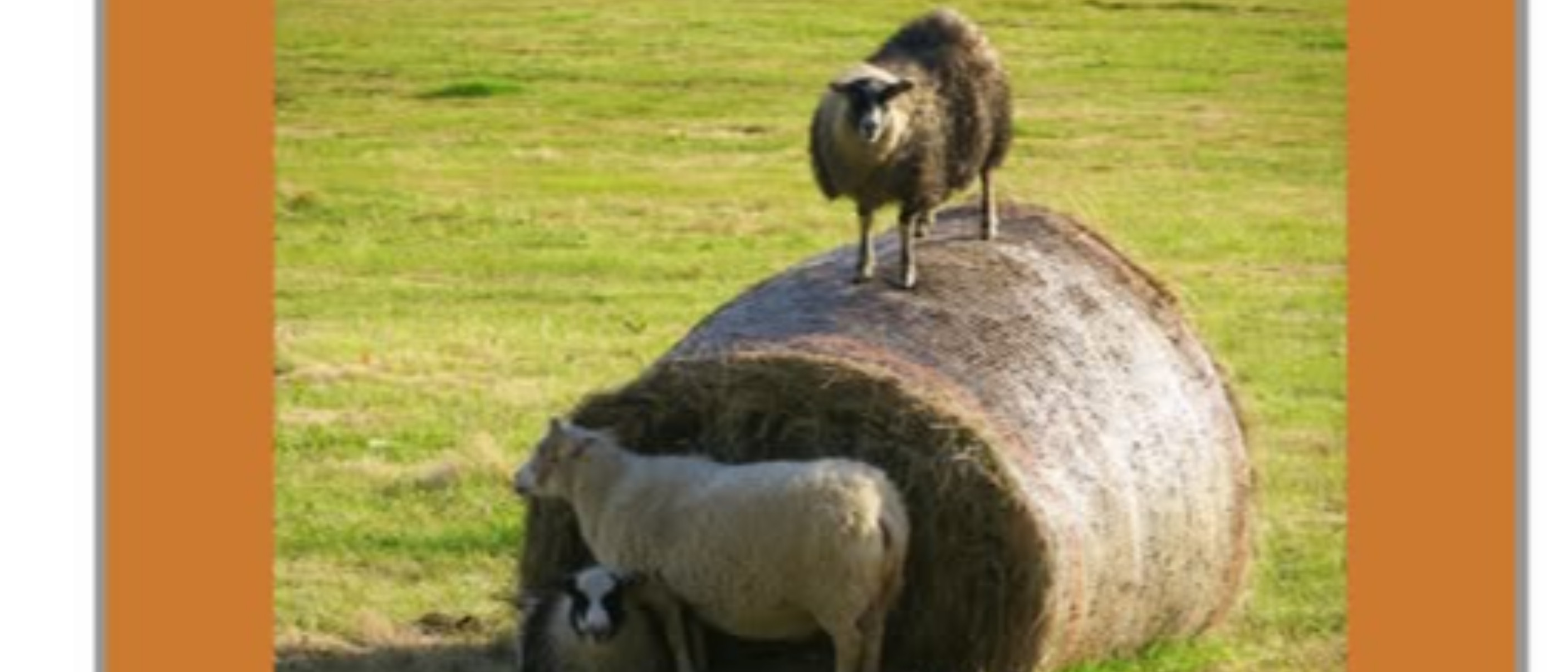 Commedia dialettale "Ball, ballein e ballon"