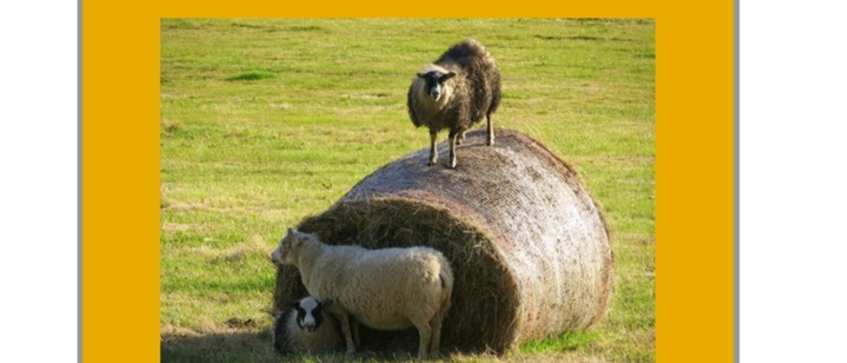 Commedia dialettale "Ball, ballein e ballon"