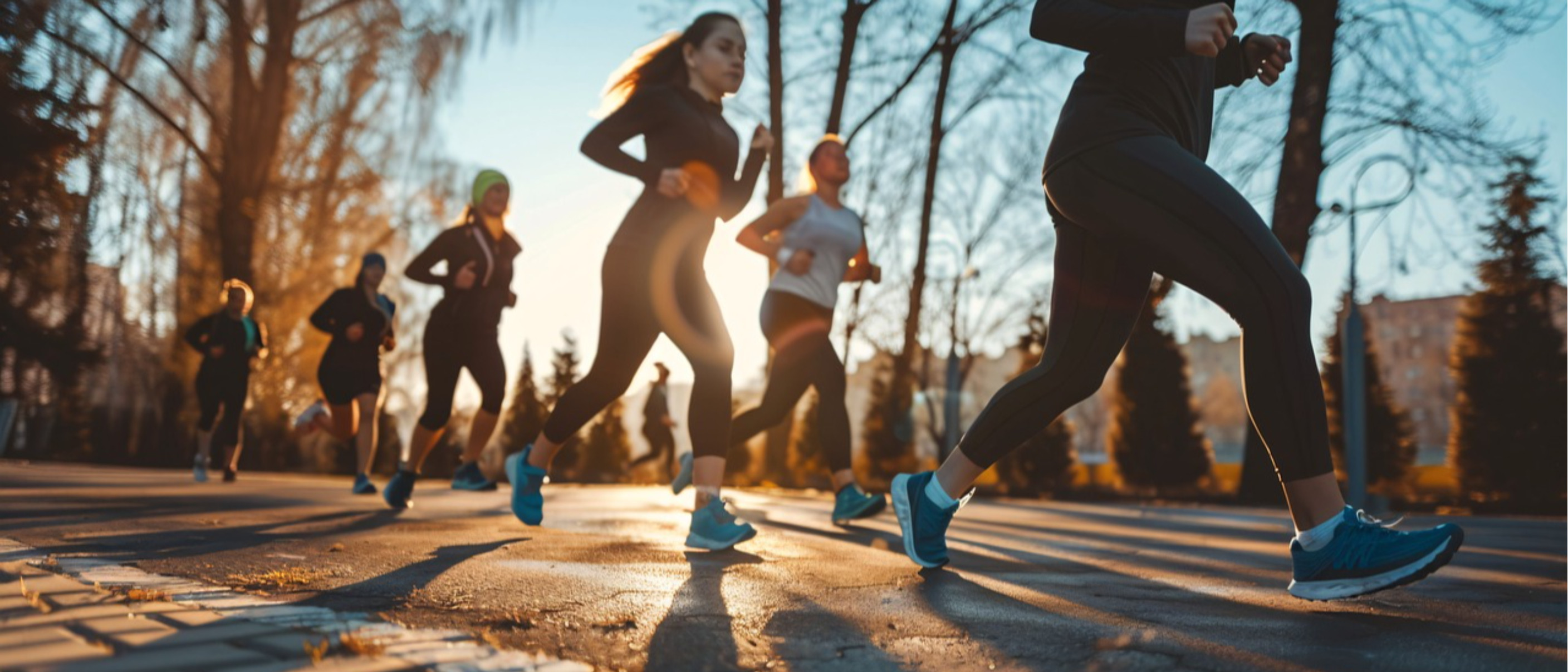 17ª Marcia del Volontariato