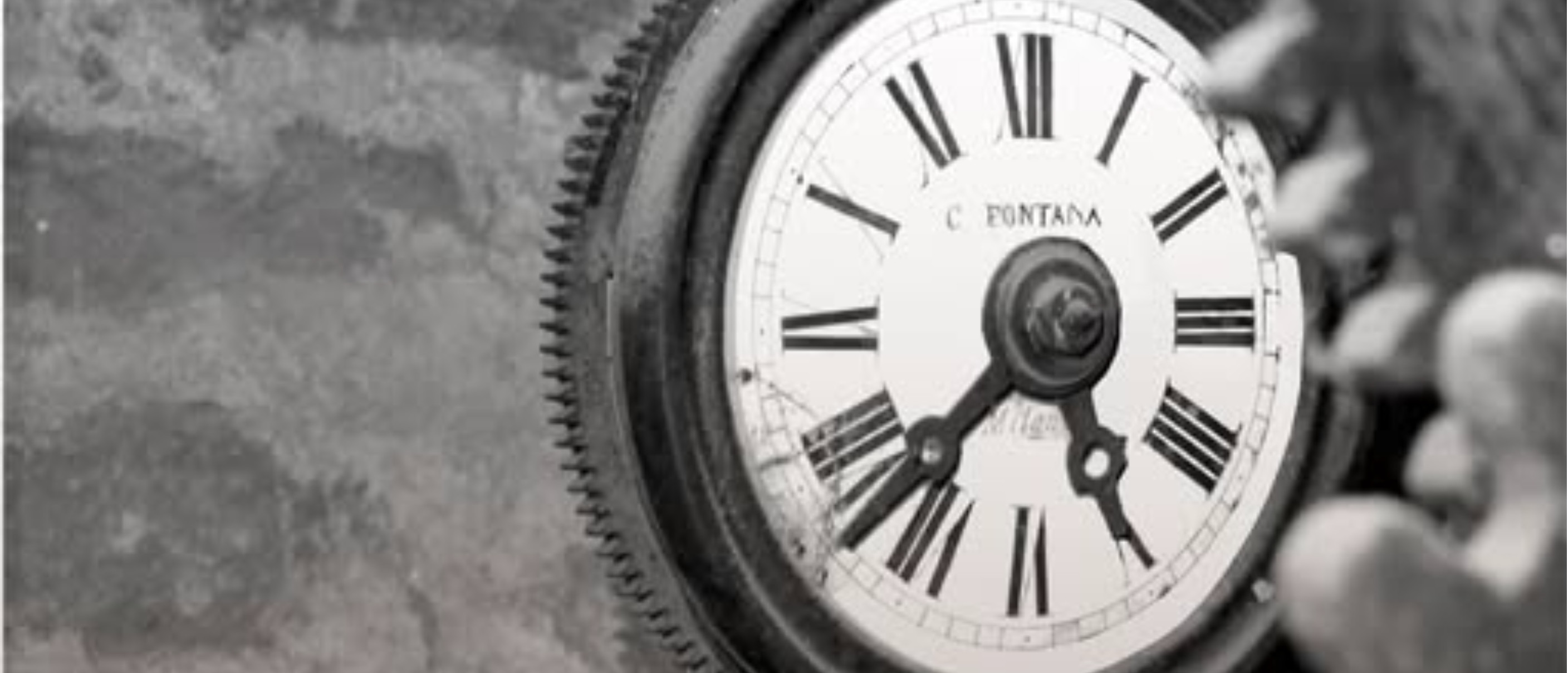 Segni del tempo in Cattedrale