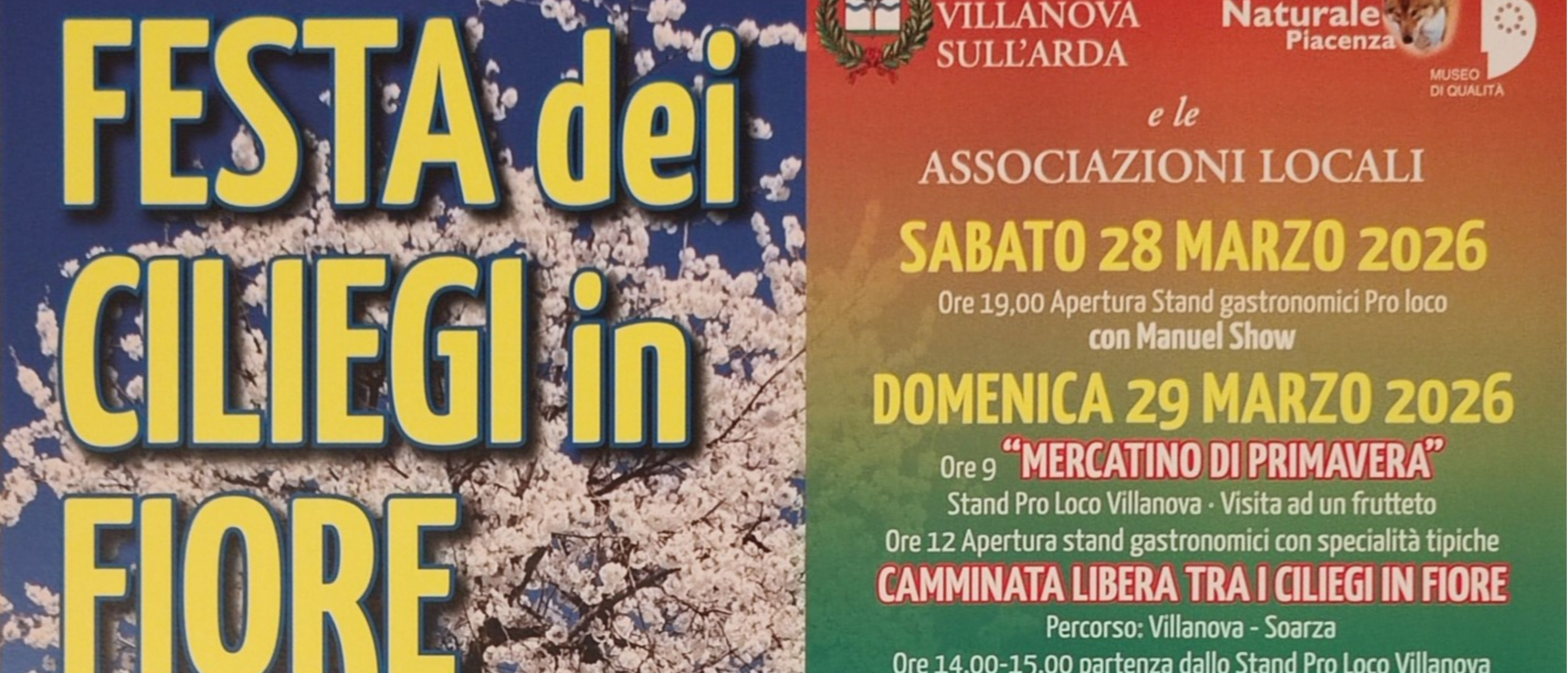 Festa dei Ciliegi in Fiore – Pic nic tra i ciliegi a Villanova