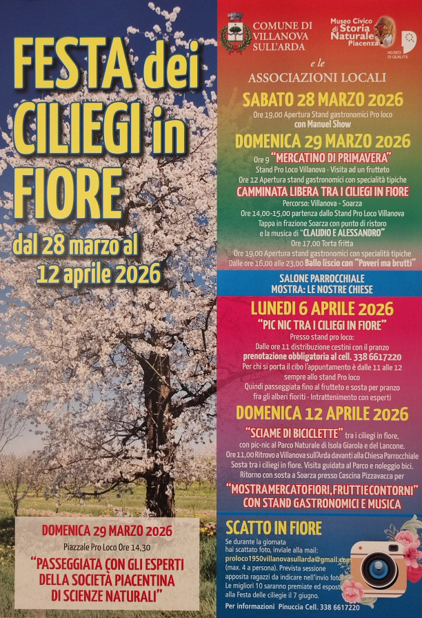 Festa dei Ciliegi in Fiore - 2026