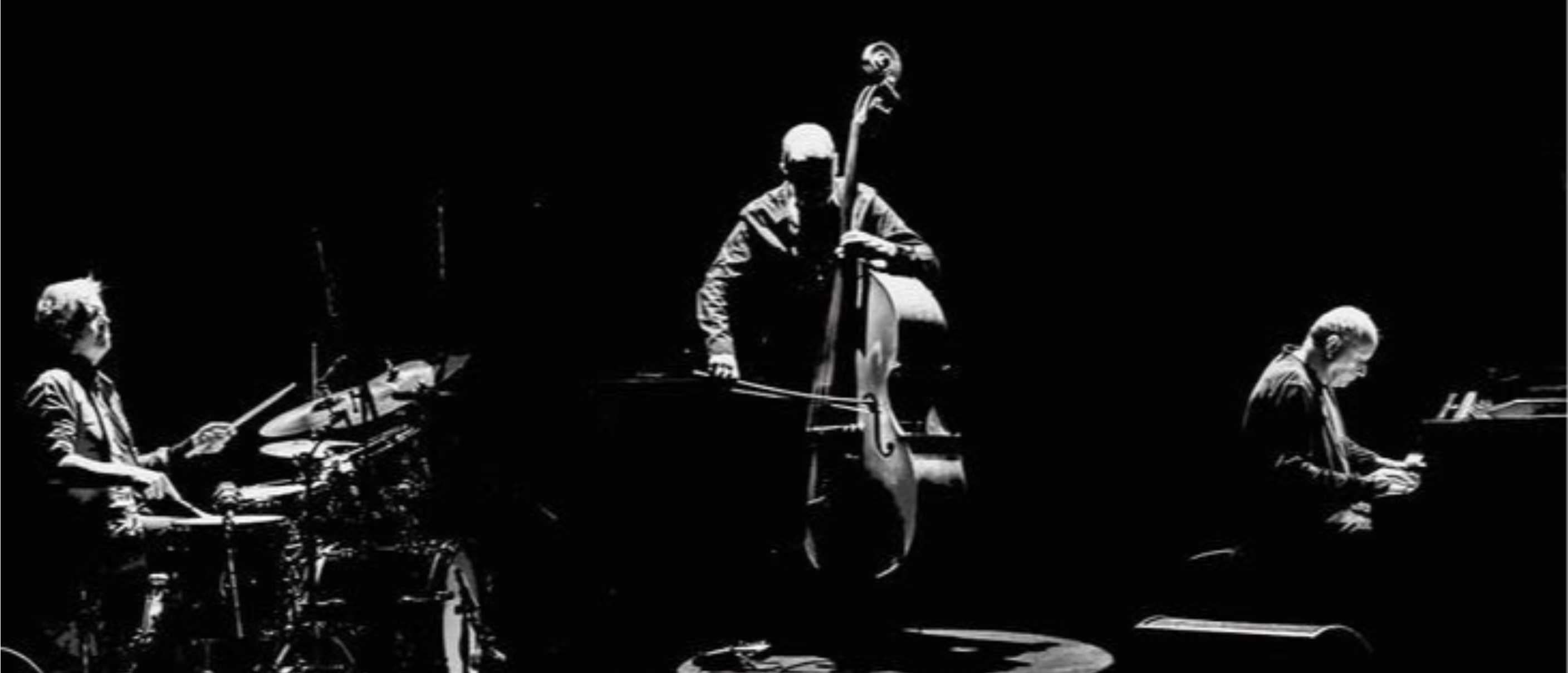 The Necks in concerto