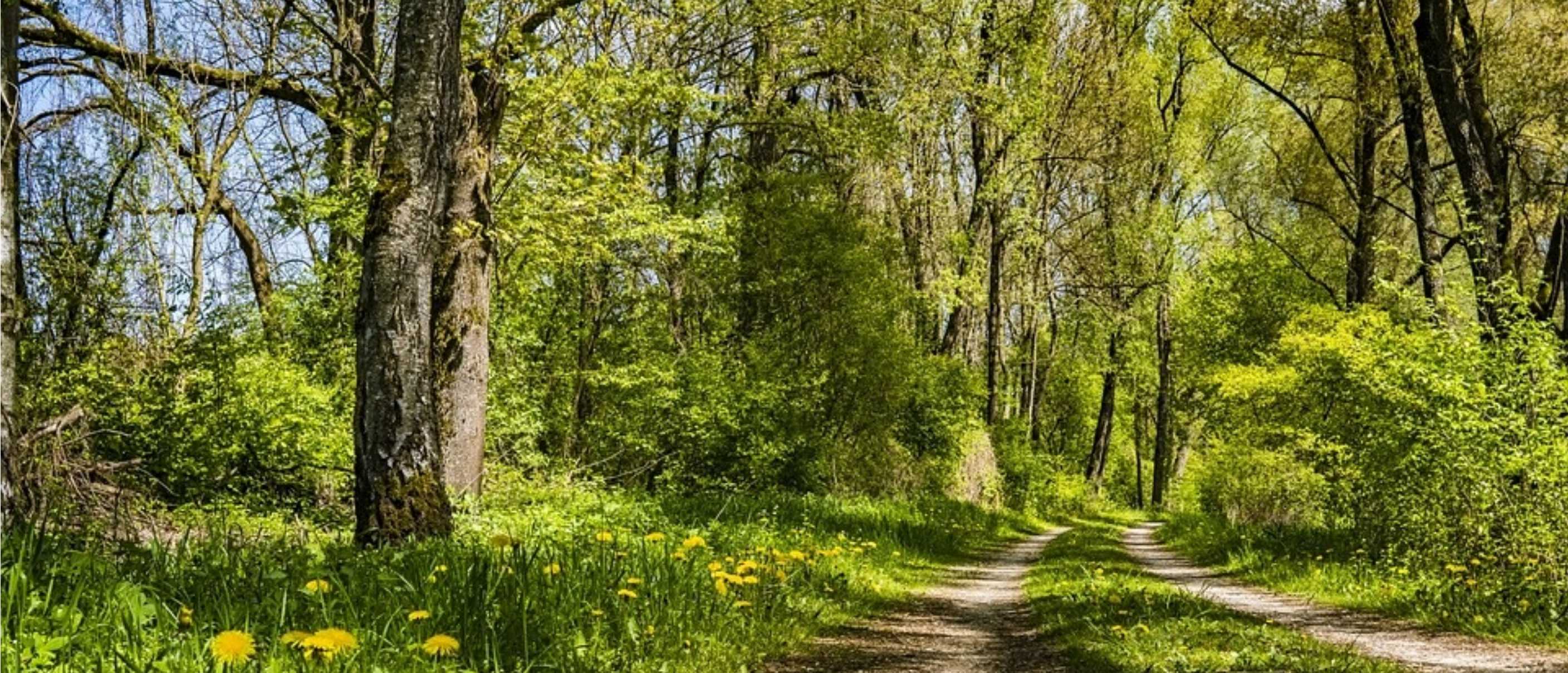 Escursione al Monte Carameto