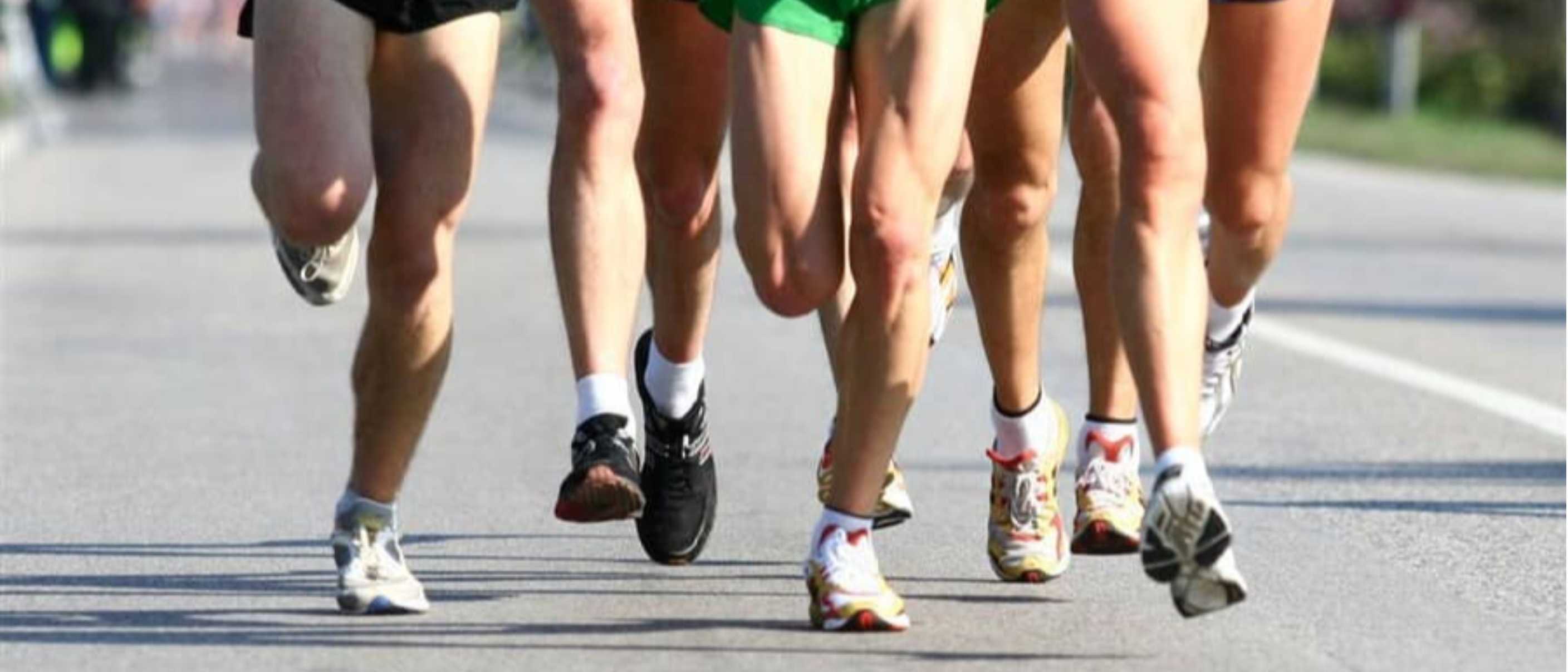 8° Marcia di Besenzone