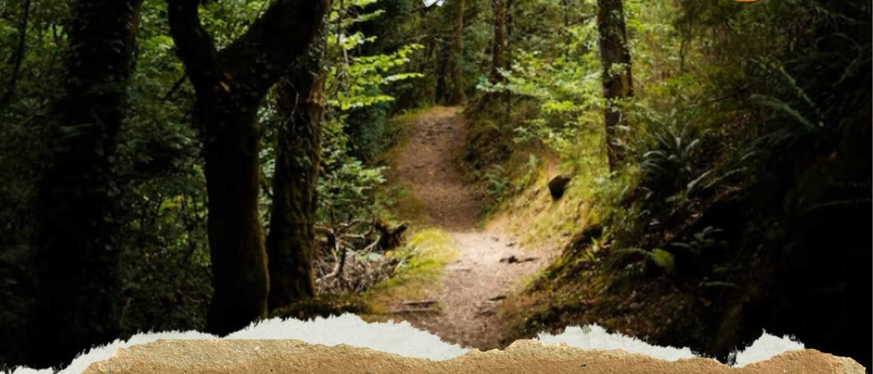 Storie di libertà: giochi di ruolo per il 25 Aprile