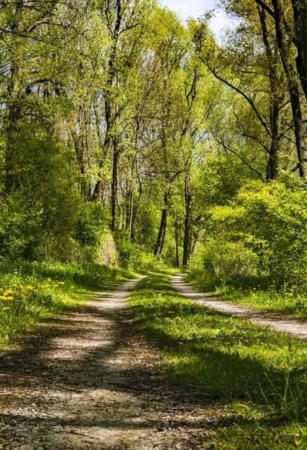Escursione al Monte Carameto