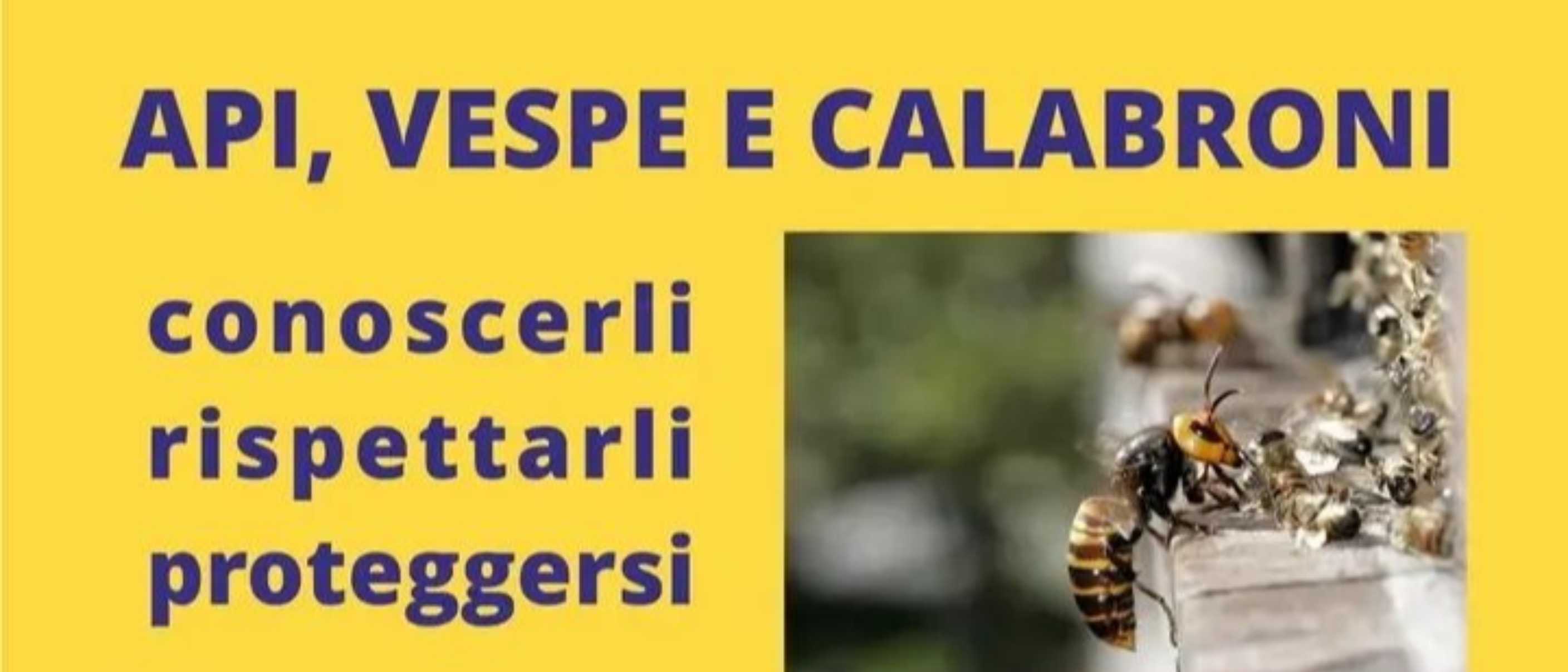 Api, vespe e calabroni: conoscerli, rispettarli, proteggersi