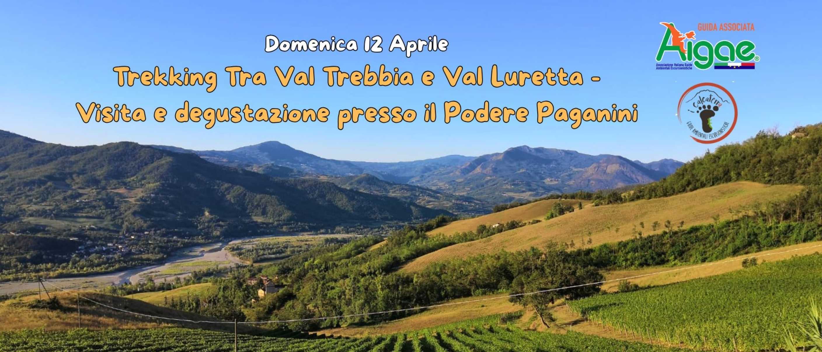 Tra castelli e filari: trekking con degustazione al Podere Paganini