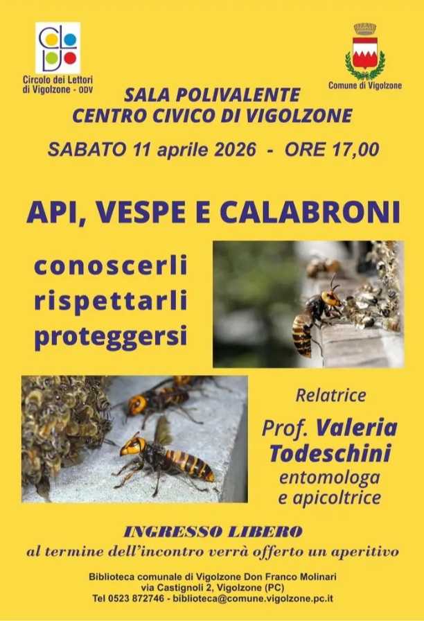 Api, vespe e calabroni: conoscerli, rispettarli, proteggersi