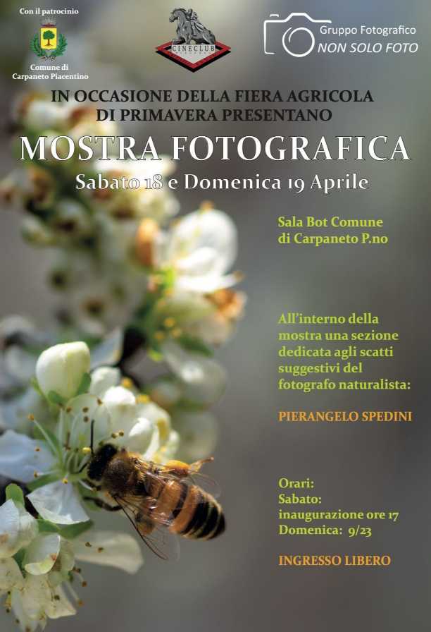 Mostra Fotografica per la Fiera di Primavera
