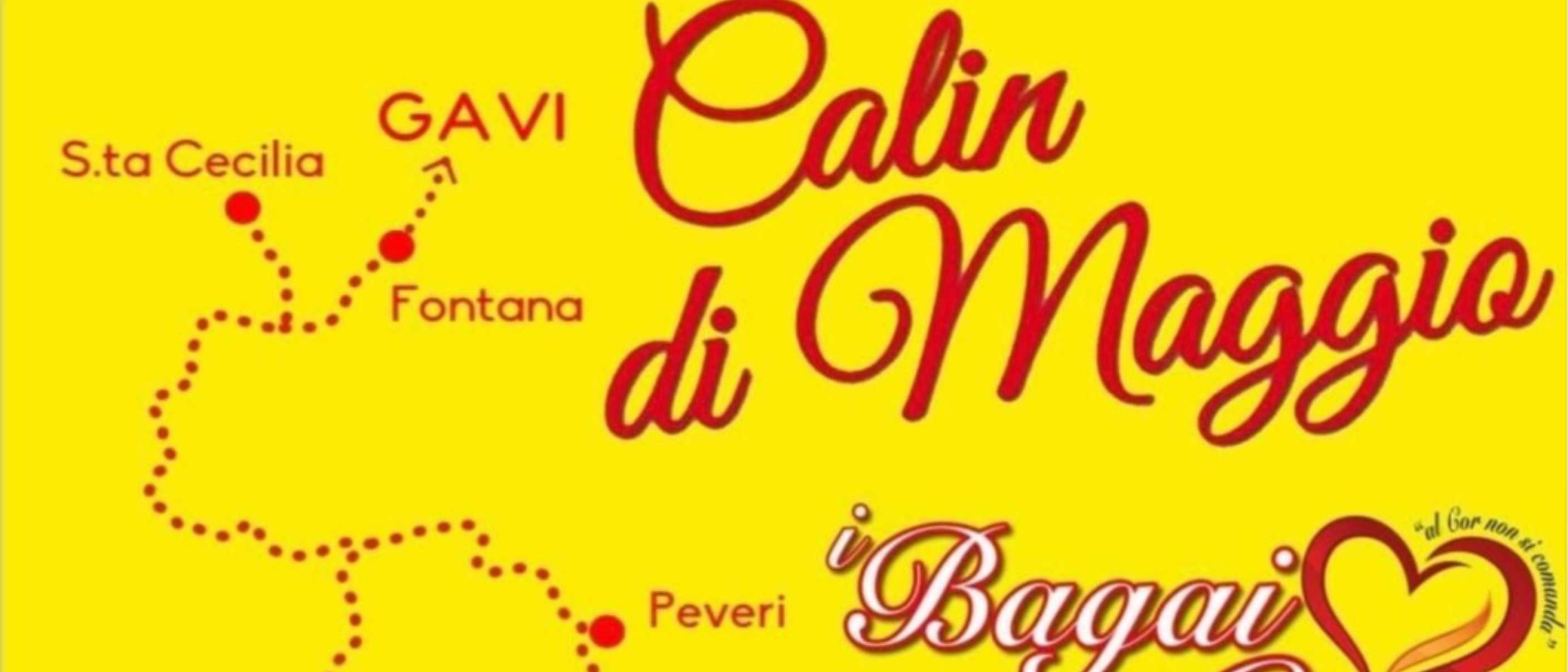 Calin di Maggio