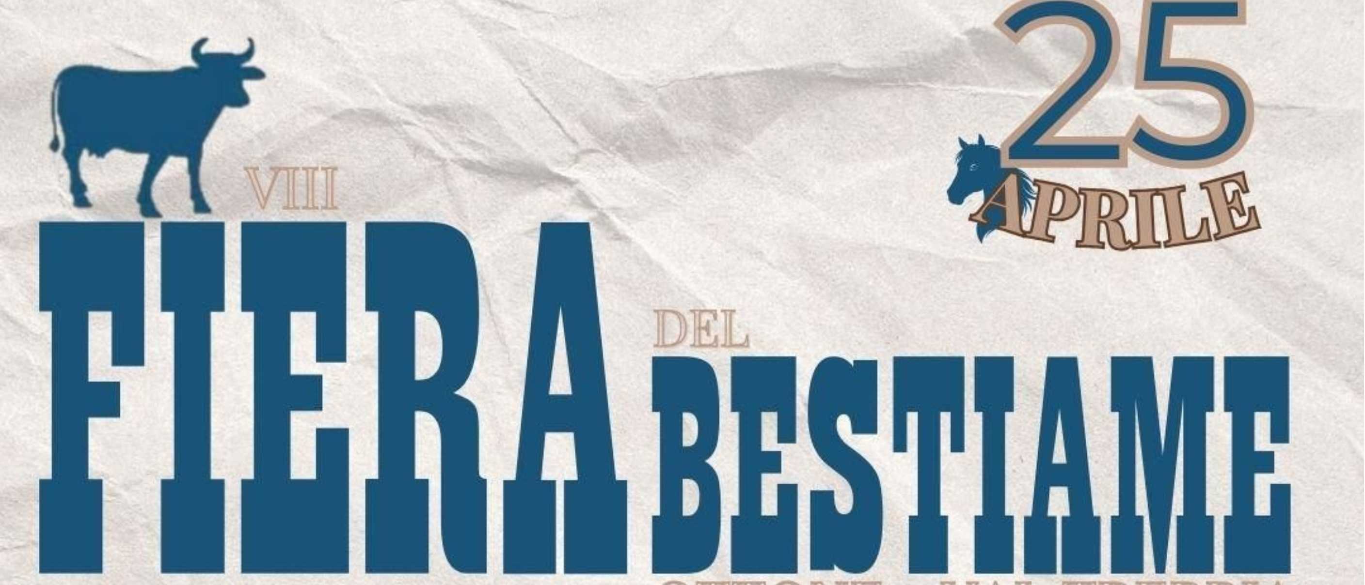 VIII Fiera del Bestiame