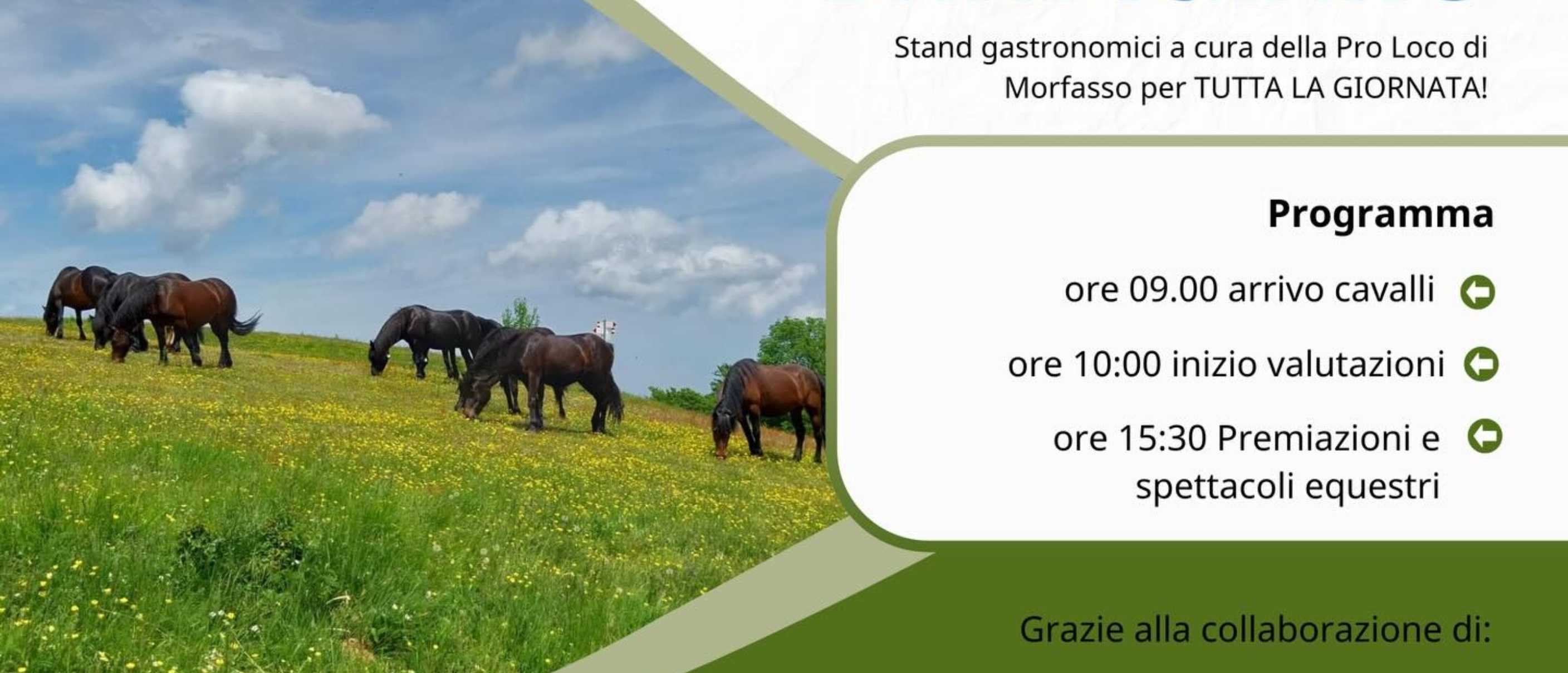 Rassegna Provinciale del Cavallo Bardigiano