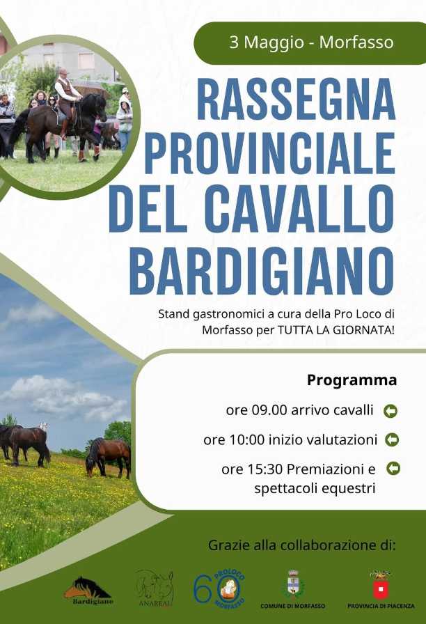 Rassegna Provinciale del Cavallo Bardigiano
