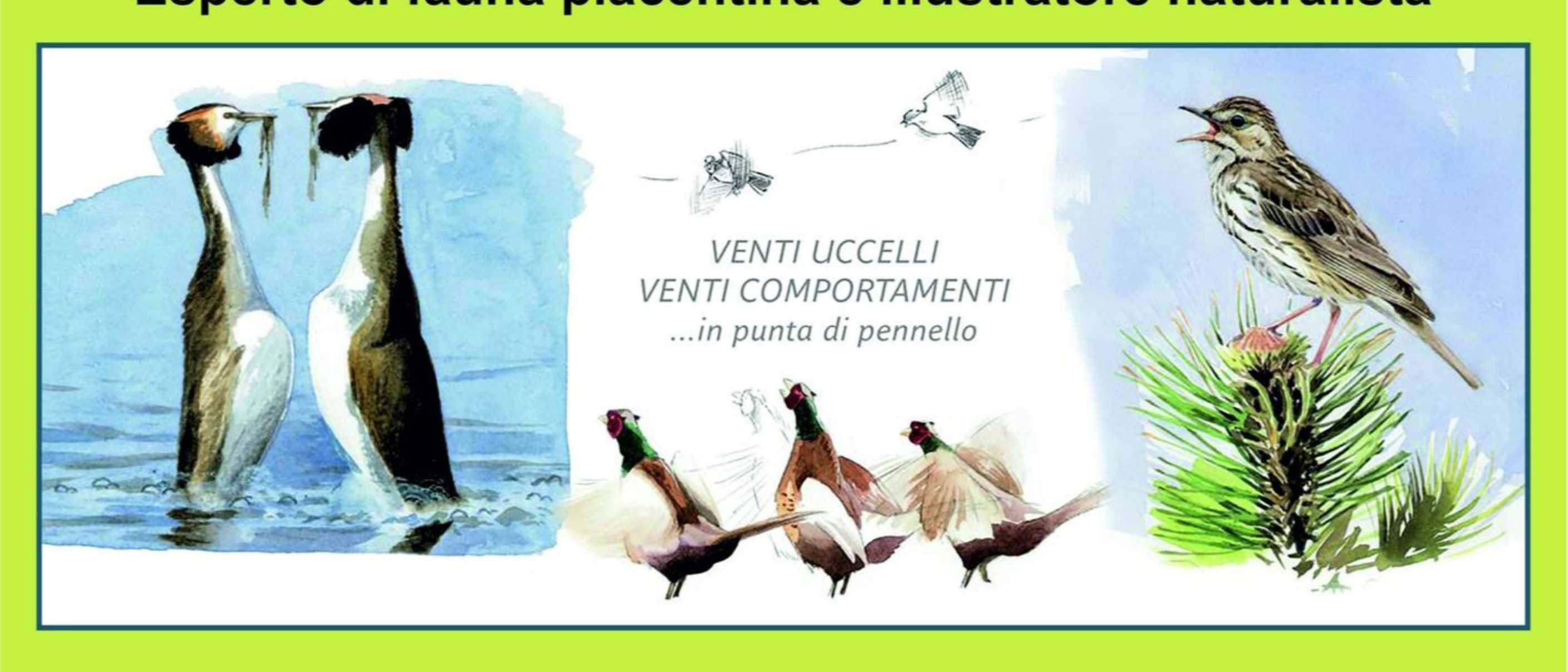 Il comportamento degli uccelli - Serata naturalistica in Val Nure