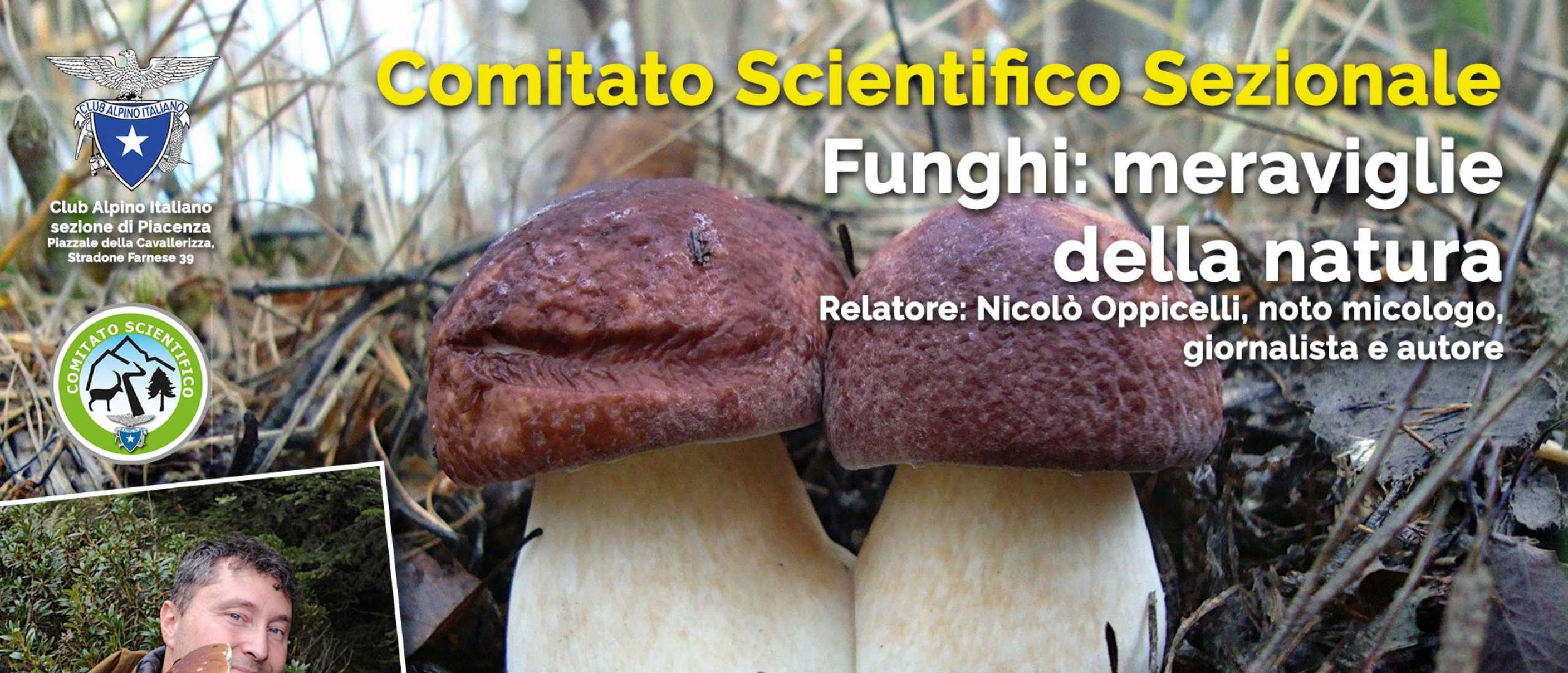 Funghi: meraviglie della natura