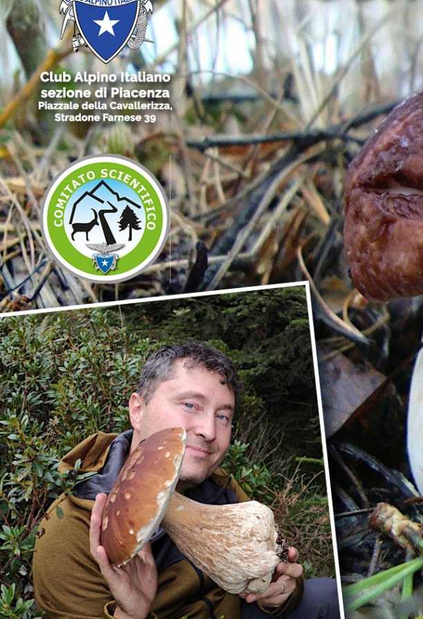 Funghi: meraviglie della natura